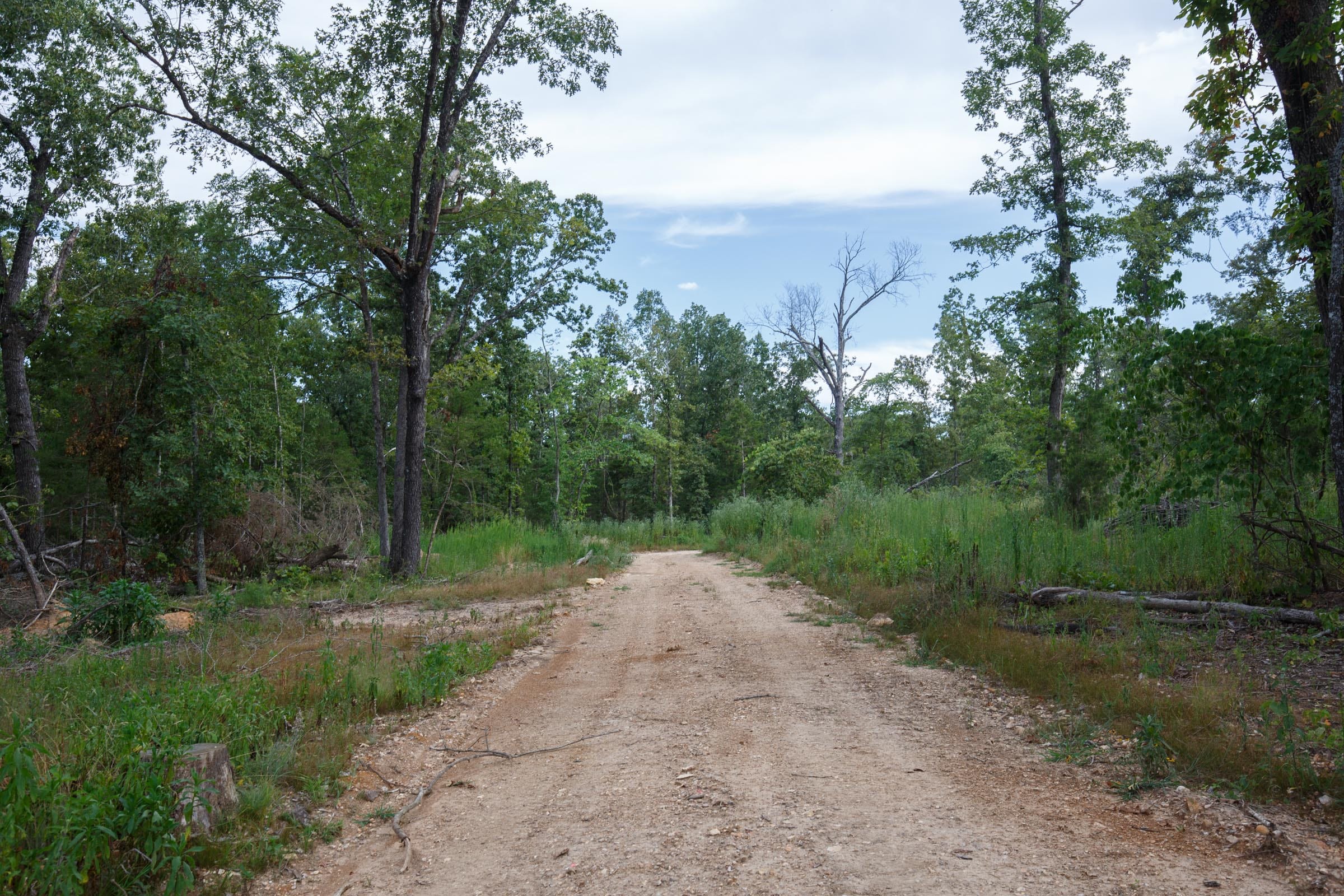 Wildwood Tract 28 photo 1
