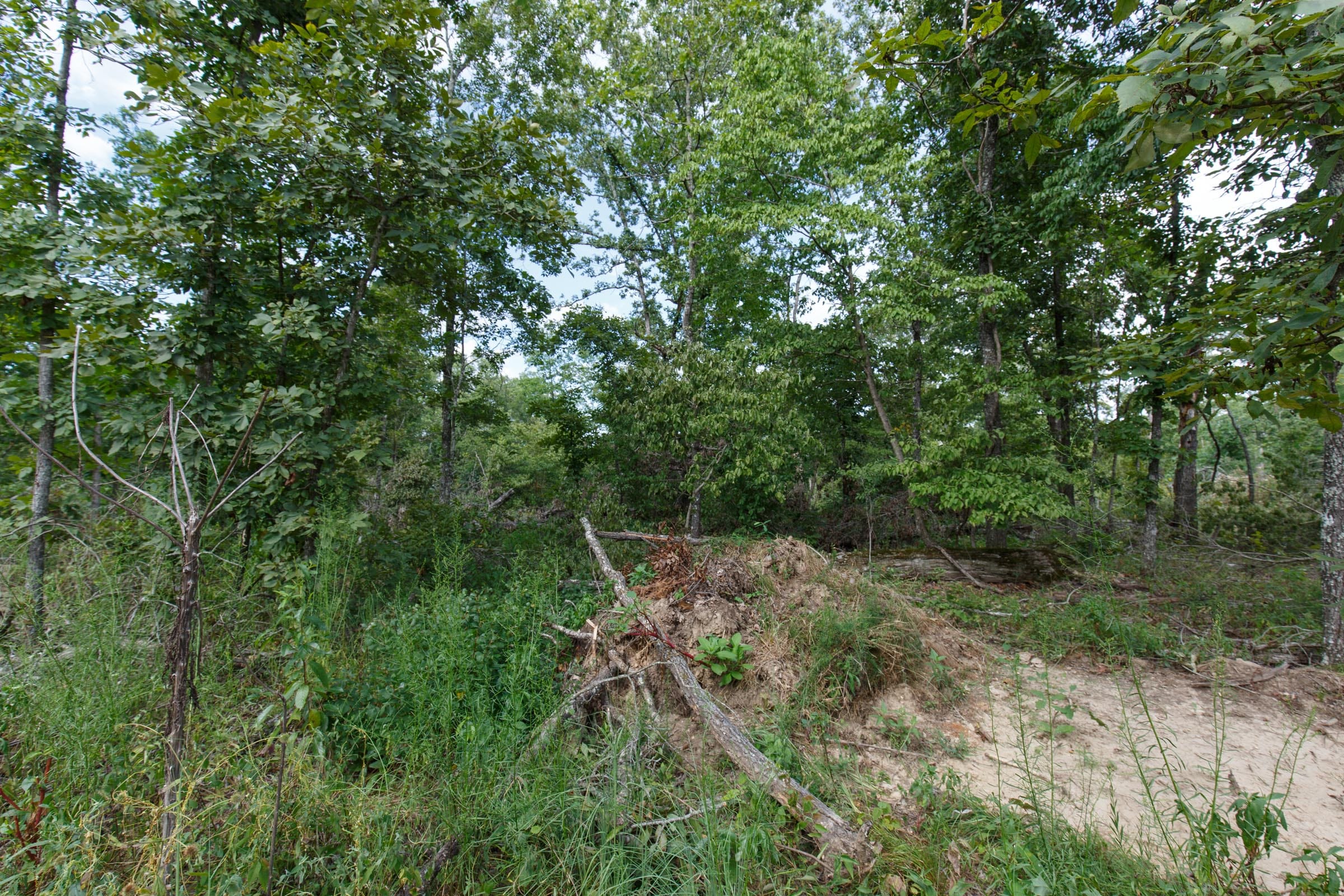 Wildwood Tract 28 photo 5