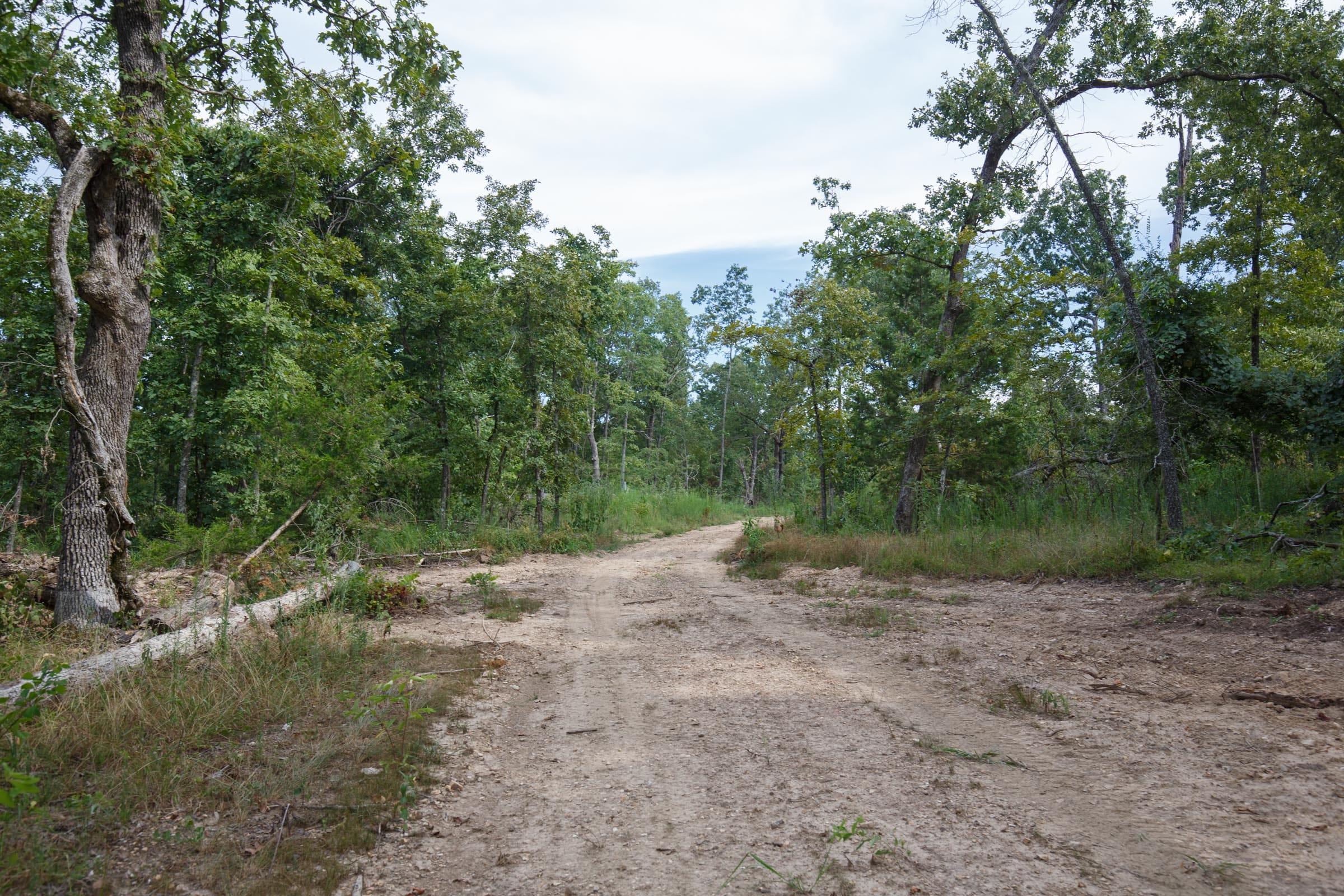 Wildwood Tract 28 photo 8