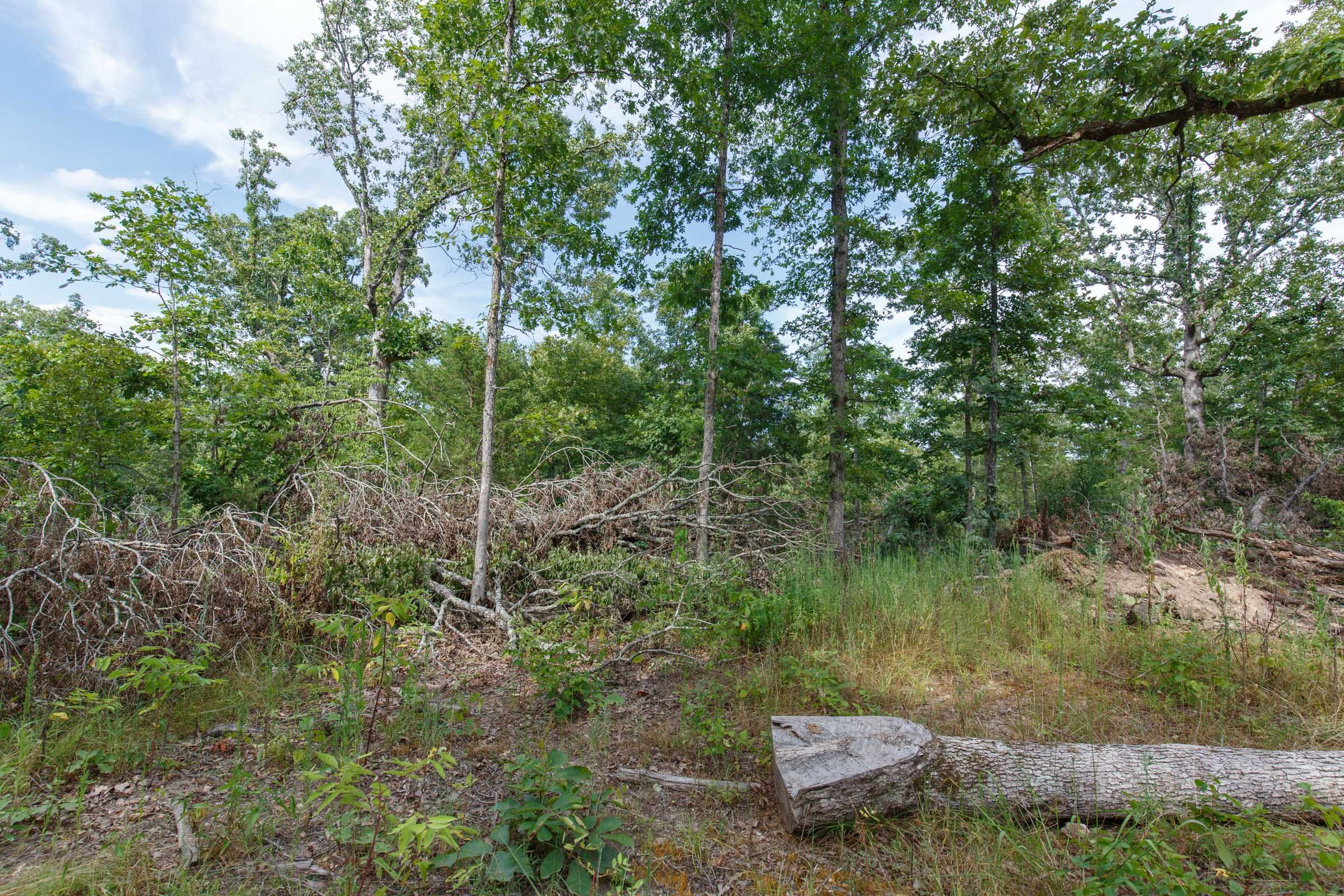 Wildwood Tract 28 photo 9