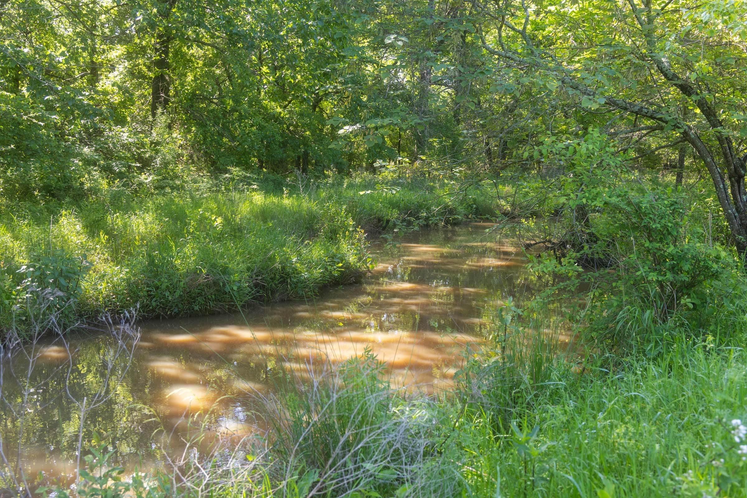 Harmony Hills Tract 22 photo 4