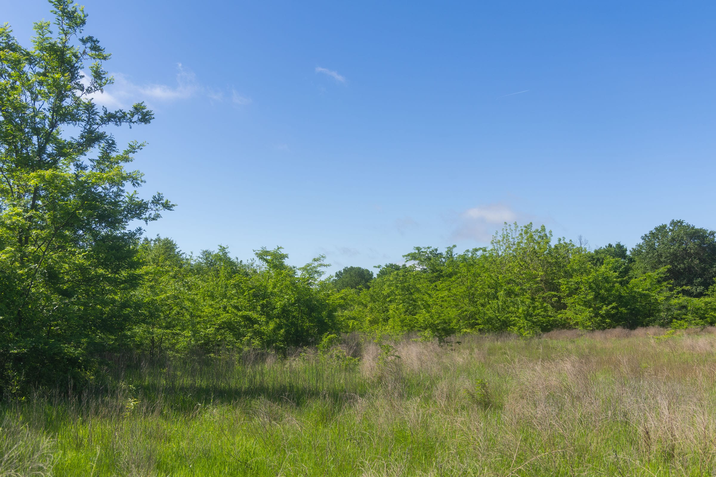 Harmony Hills Tract 22 photo 5