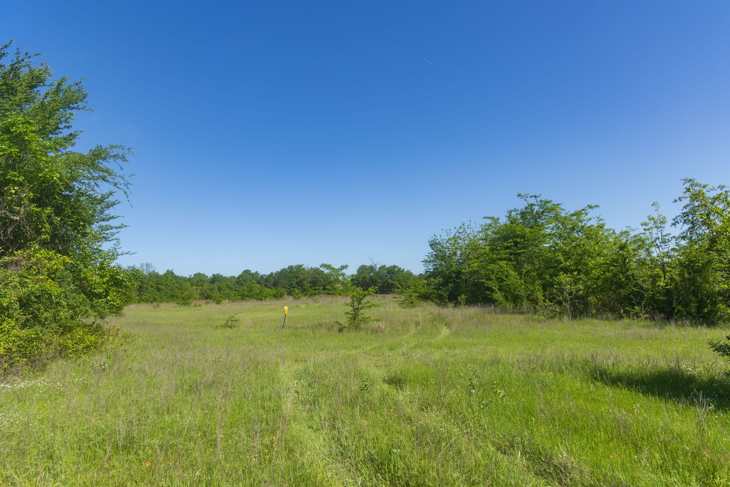 Harmony Hills Tract 22 photo 10