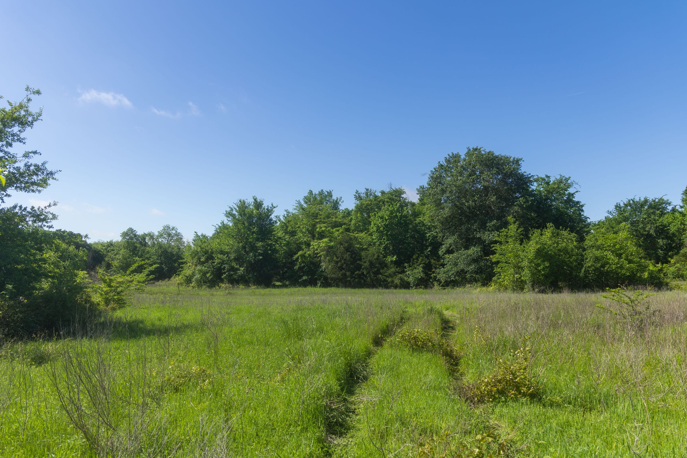 Harmony Hills Tract 22 photo 6