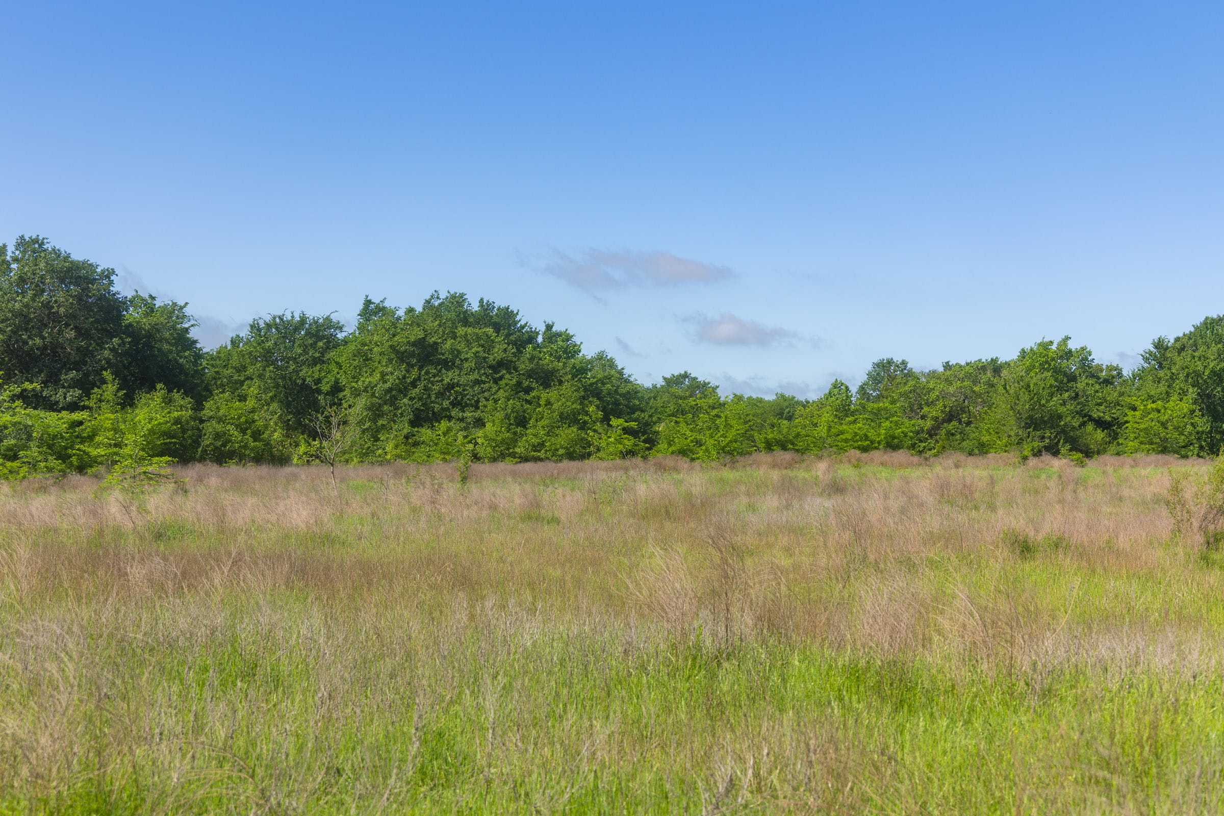 Harmony Hills Tract 22 photo 3