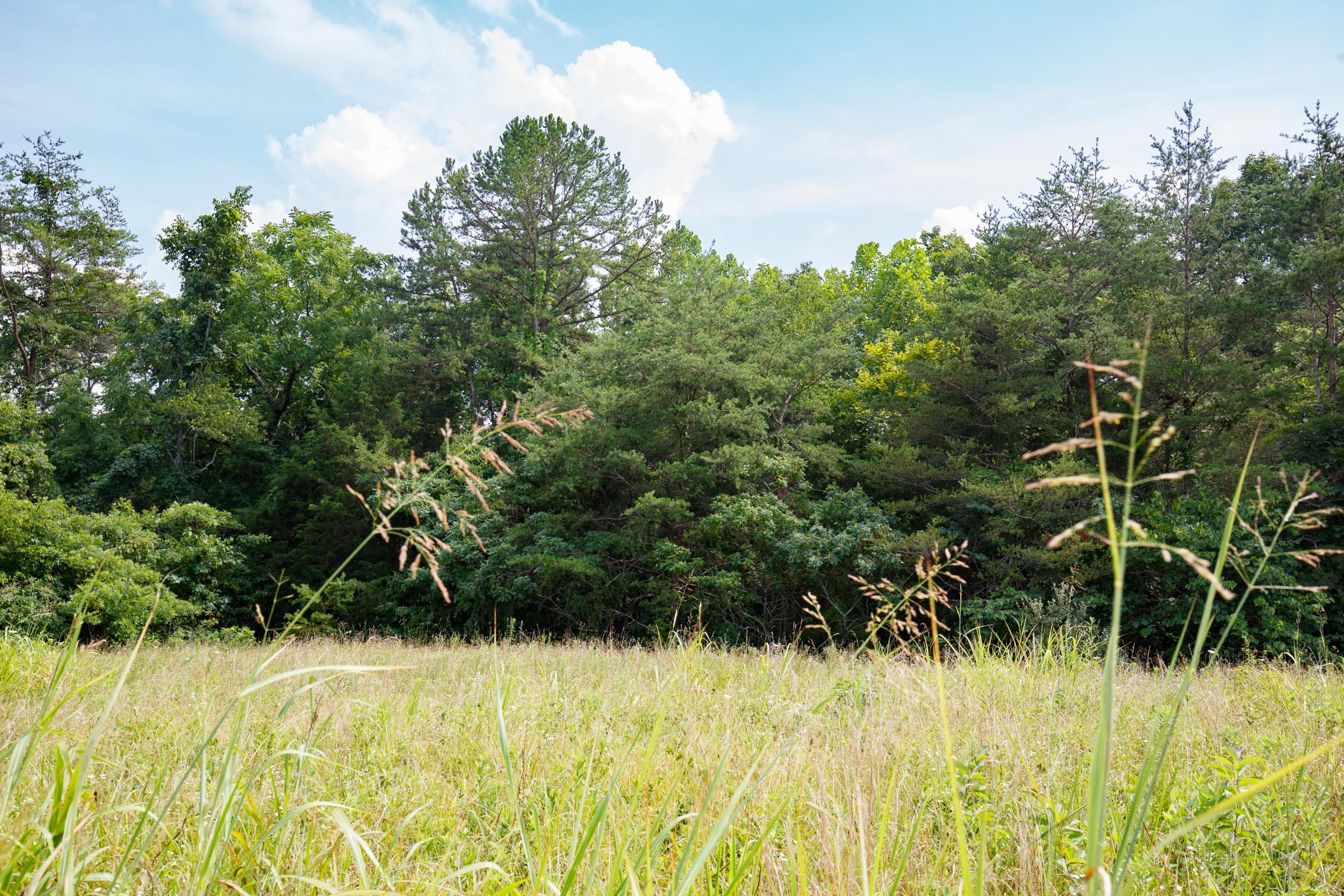 Rolling Hills Tract 29 photo 2