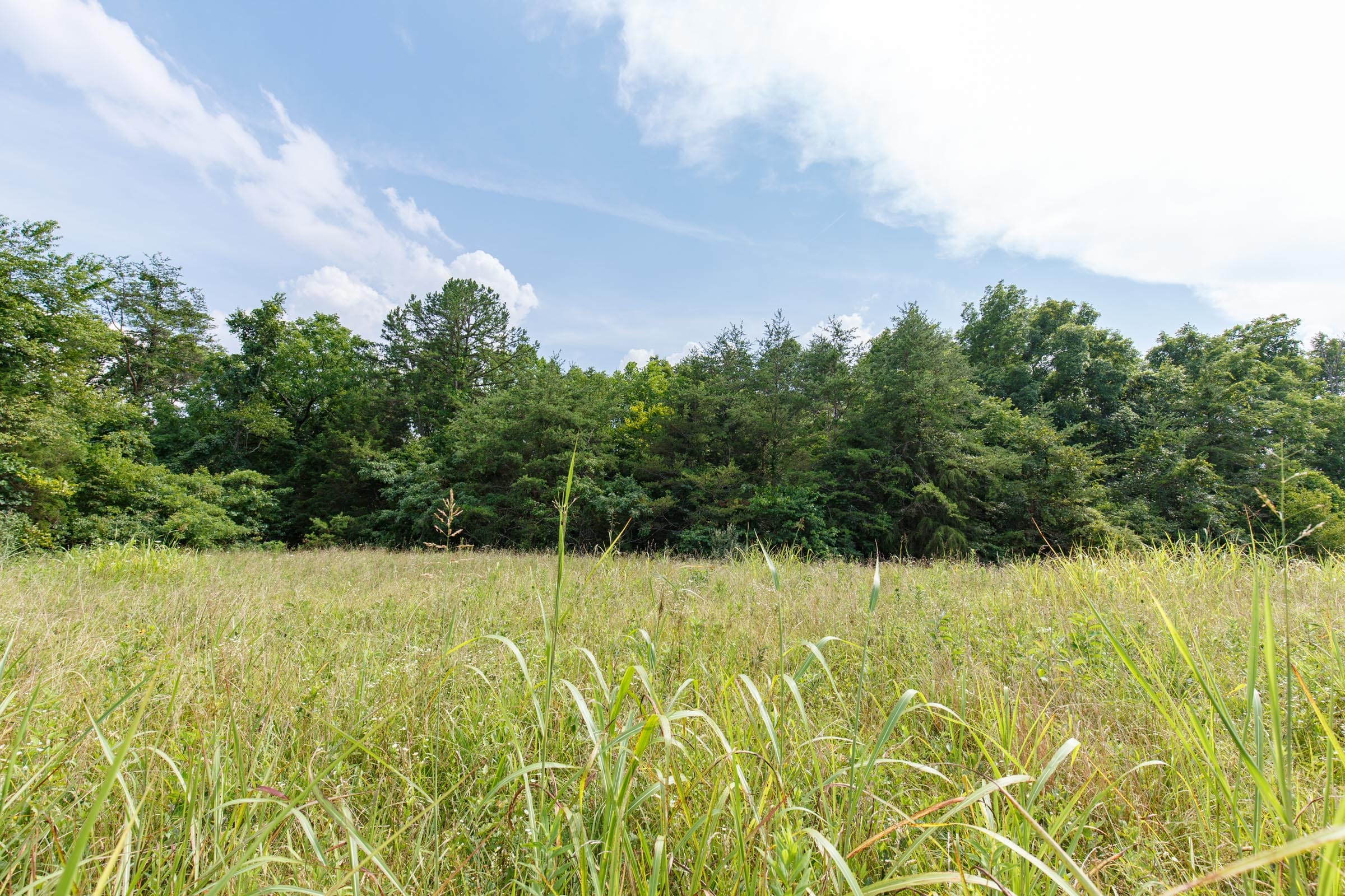Rolling Hills Tract 29 photo 3