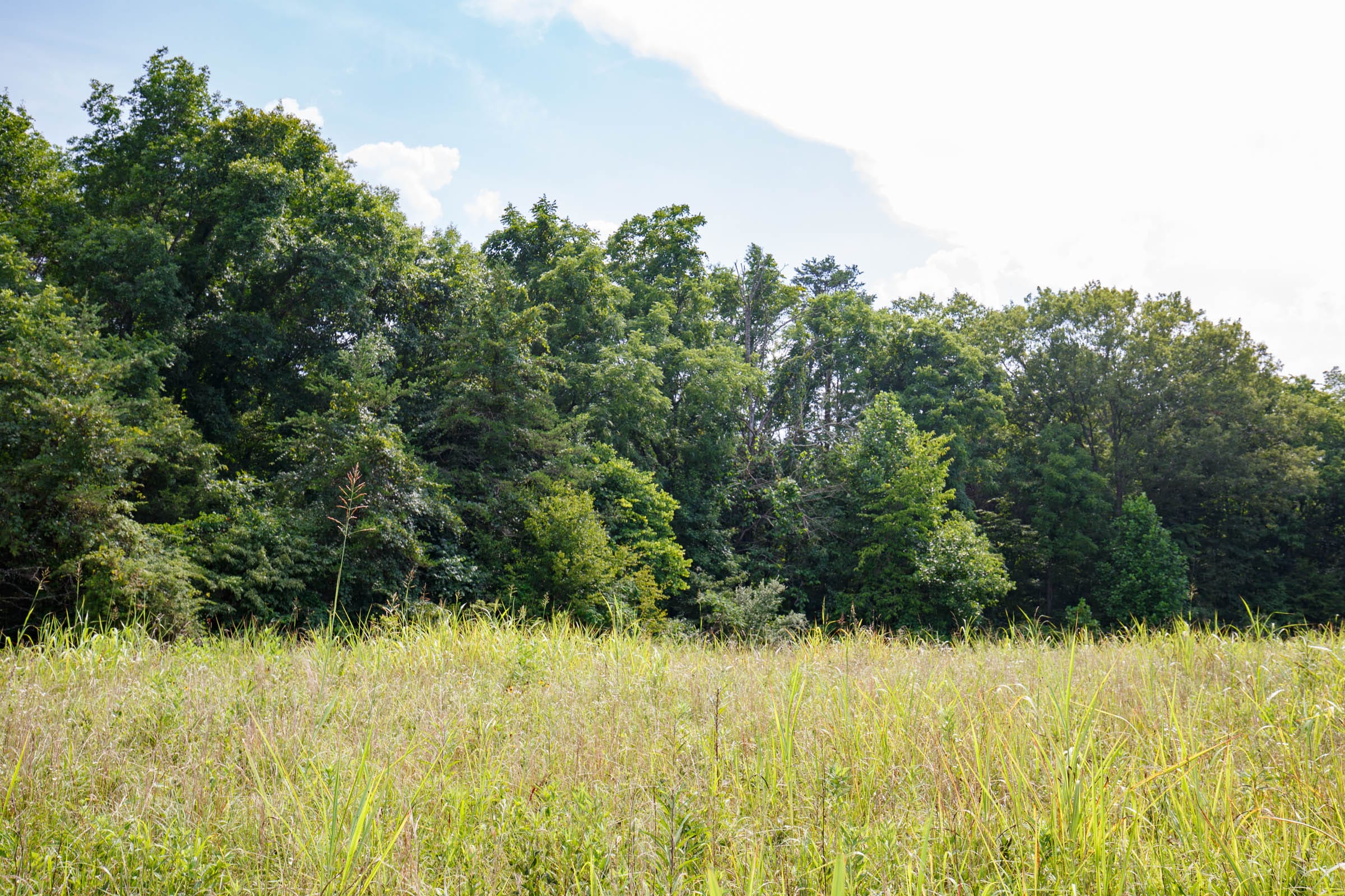Rolling Hills Tract 29 photo 5