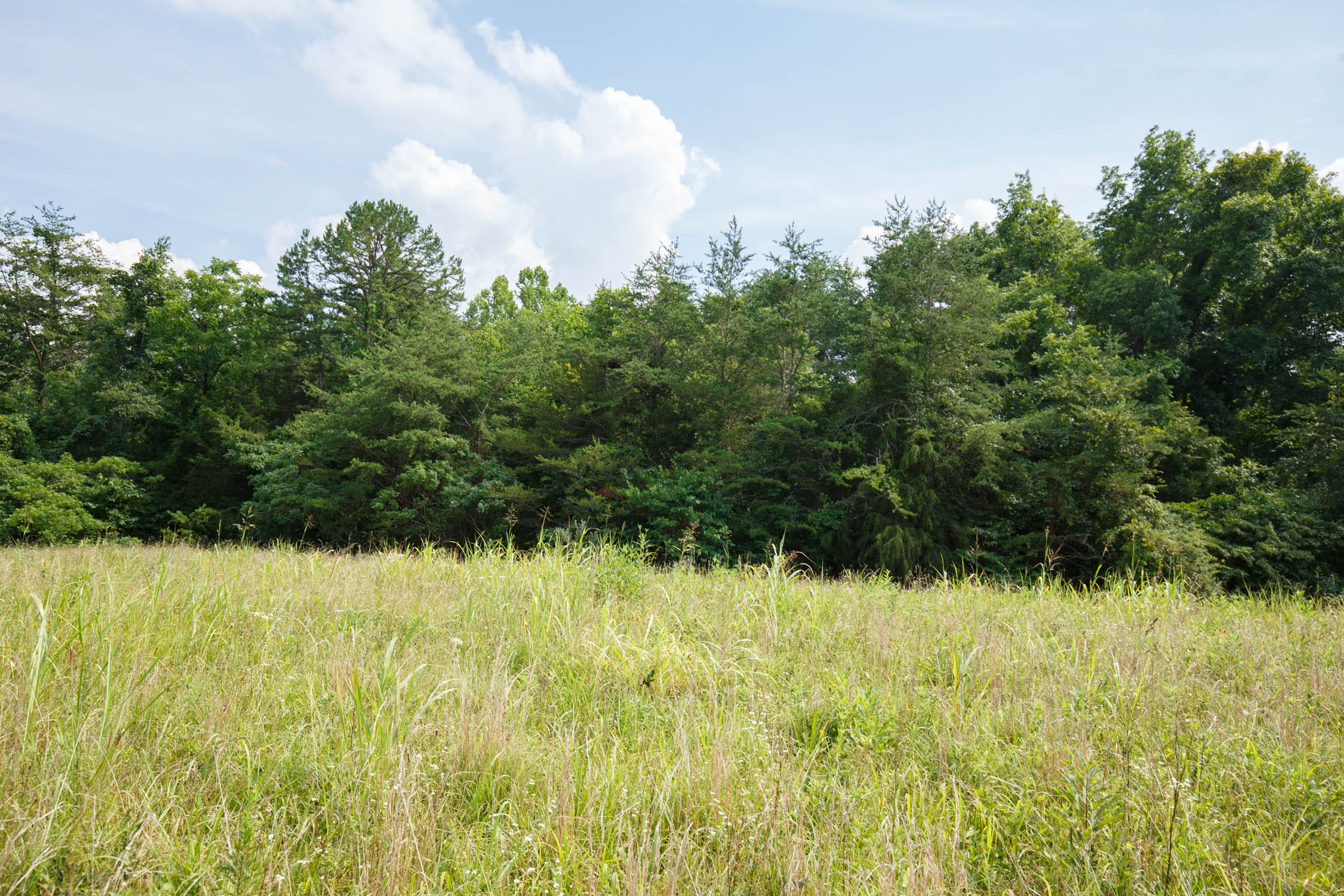 Rolling Hills Tract 29 photo 4