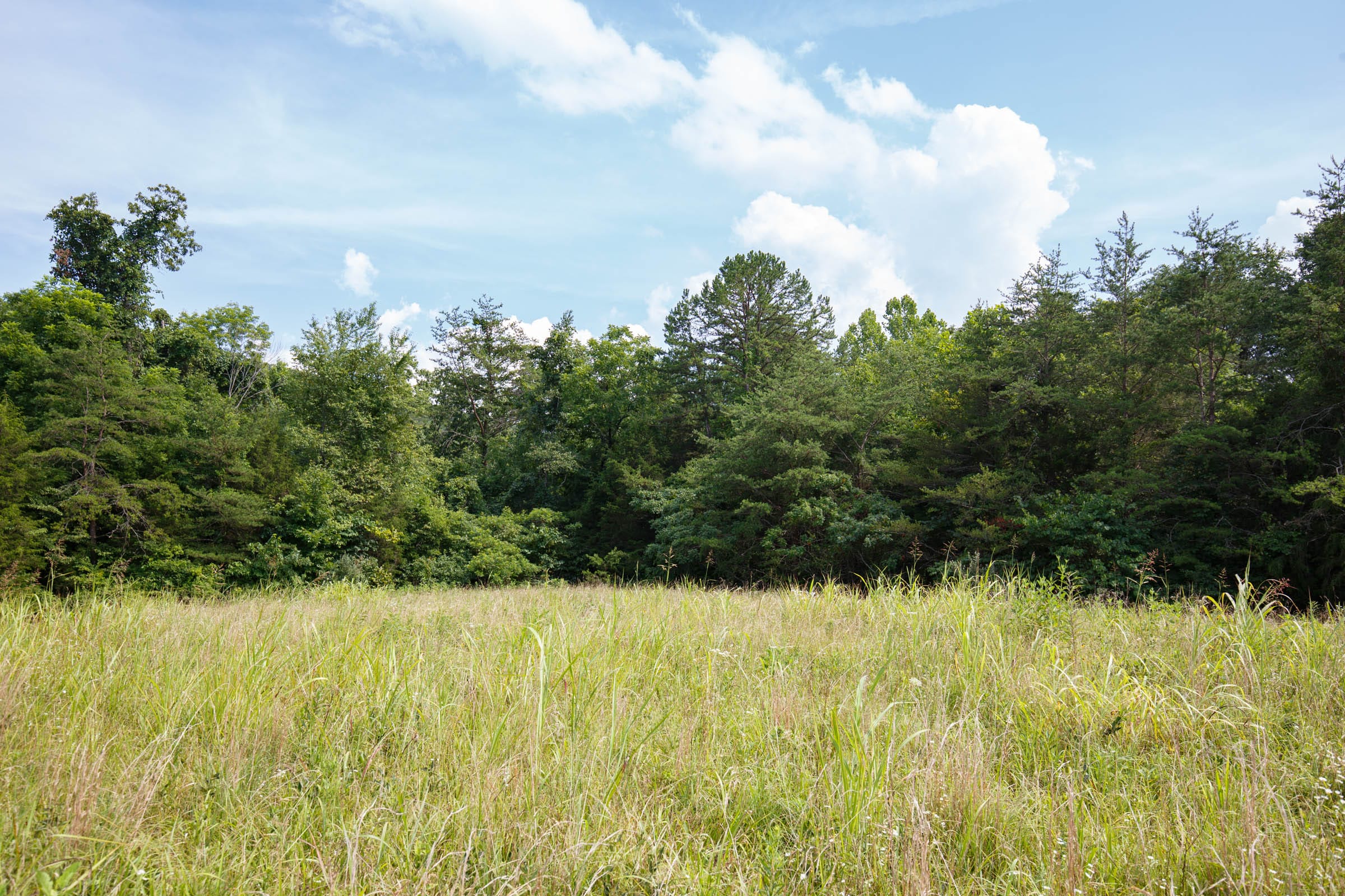 Rolling Hills Tract 29 photo 6