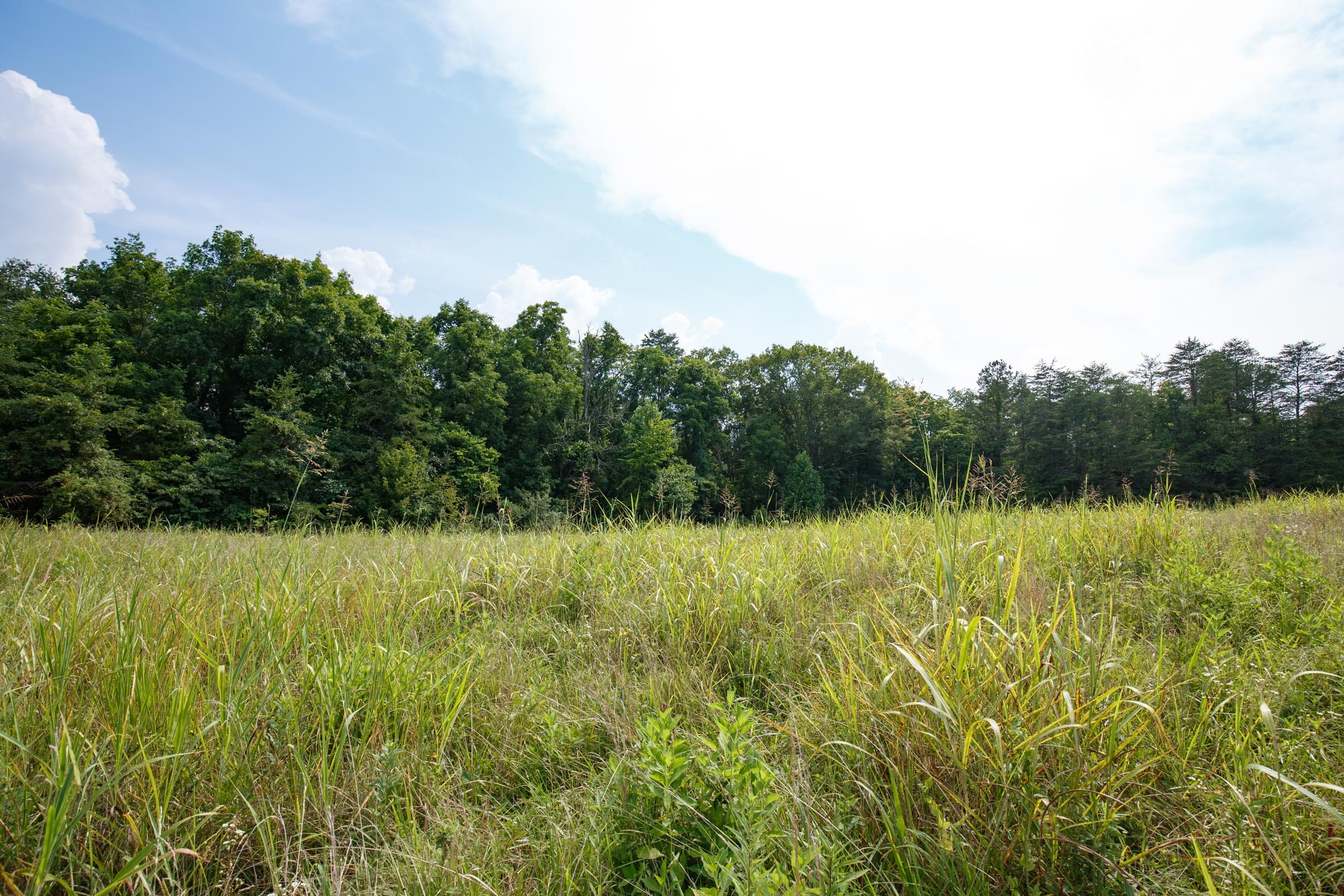 Rolling Hills Tract 29 photo 8