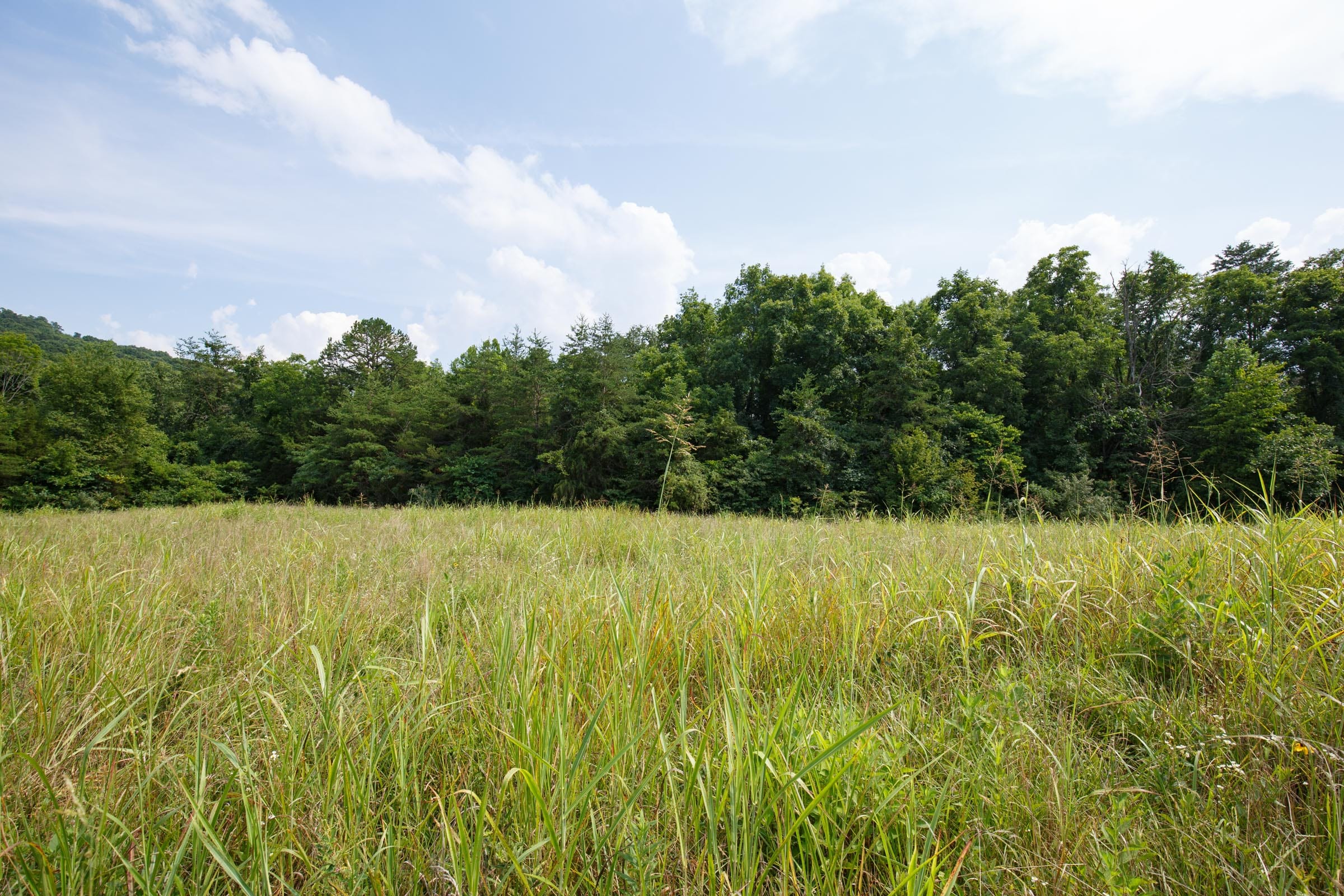 Rolling Hills Tract 29 photo 10