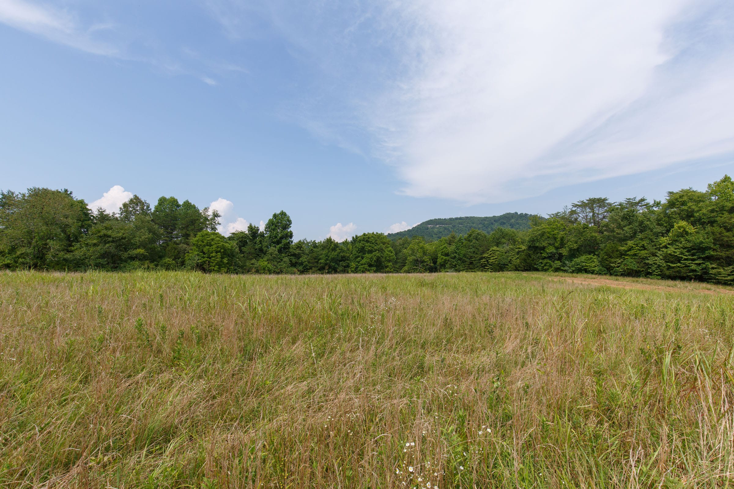 Rolling Hills Tract 29 photo 9