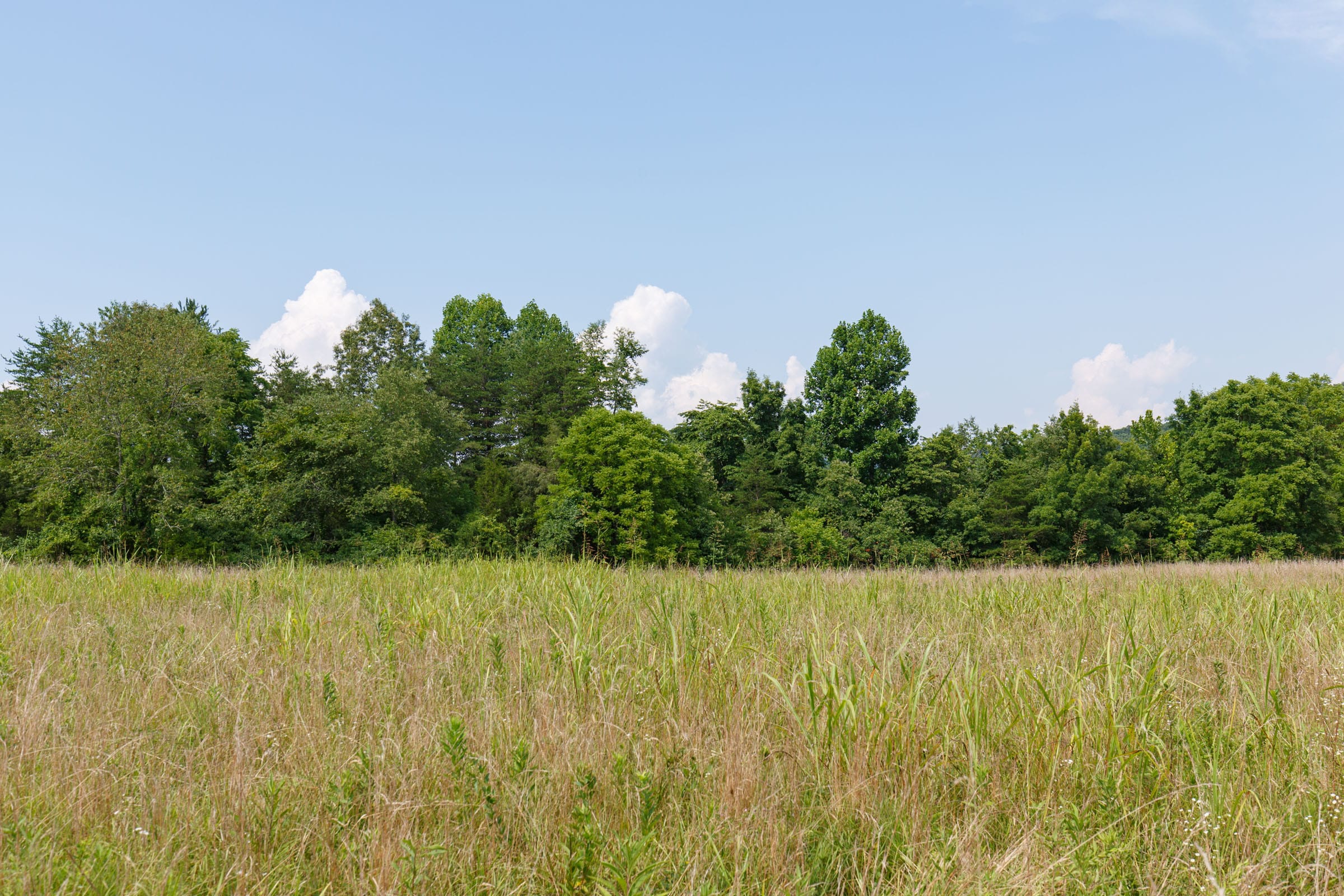 Rolling Hills Tract 29 photo 11