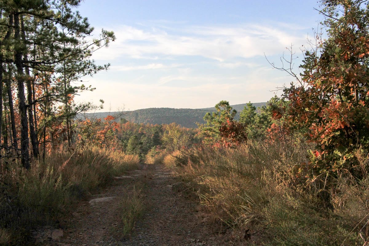 Stone Creek Phase III Tract 43 photo 4