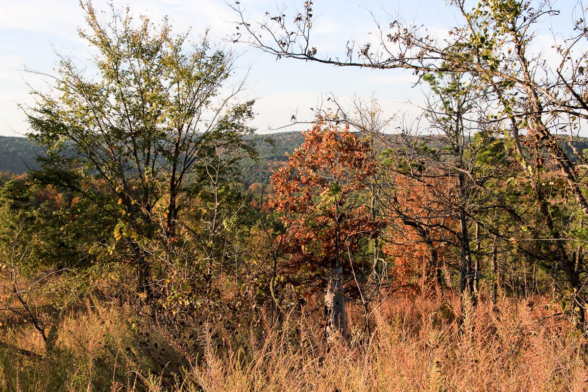 Stone Creek Phase III Tract 43 photo 11