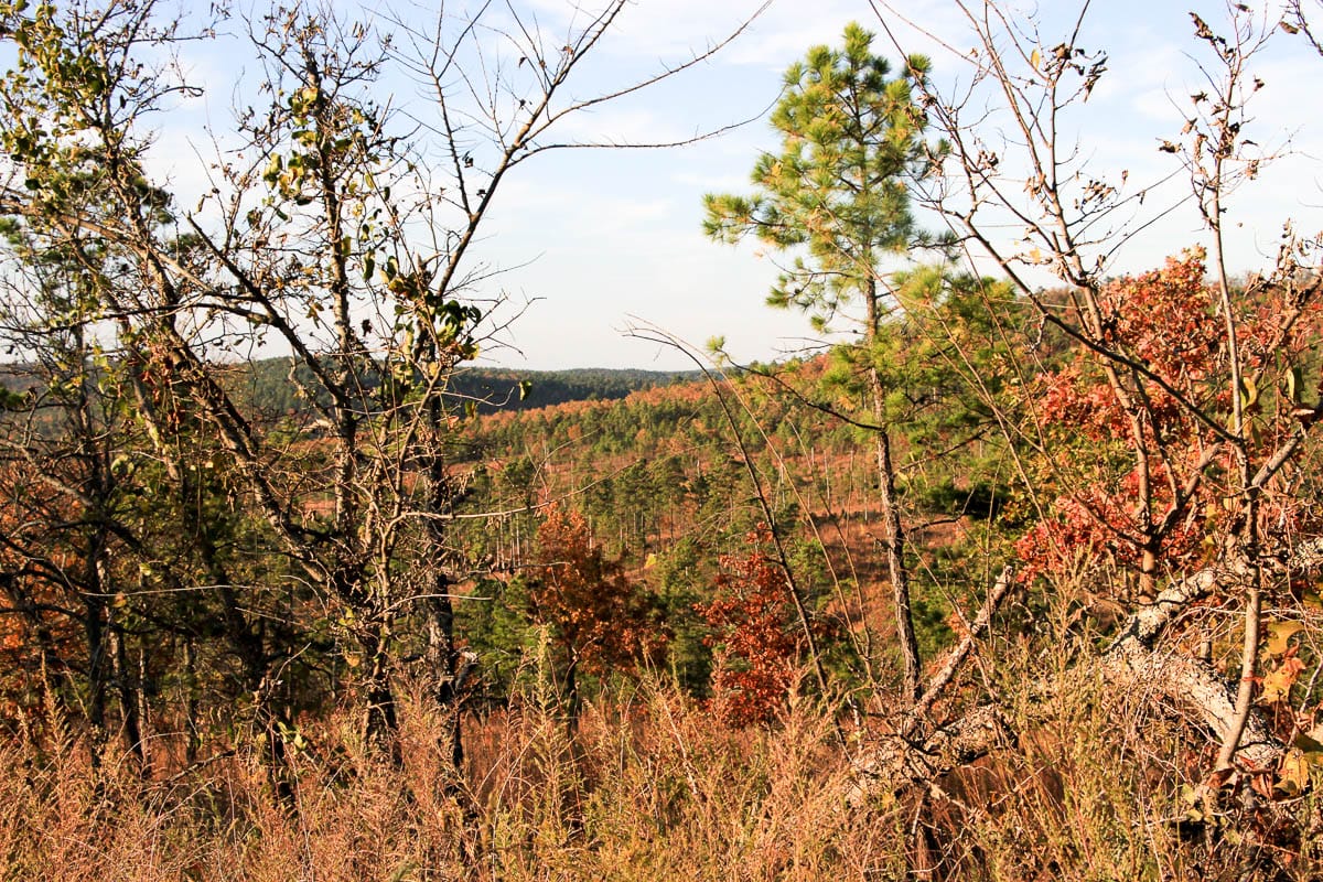 Stone Creek Phase III Tract 43 photo 12