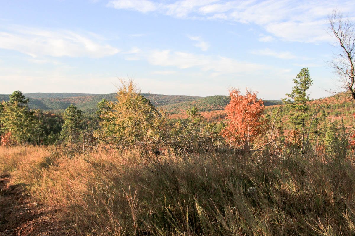 Stone Creek Phase III Tract 43 photo 13