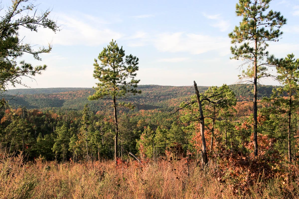 Stone Creek Phase III Tract 43 photo 15