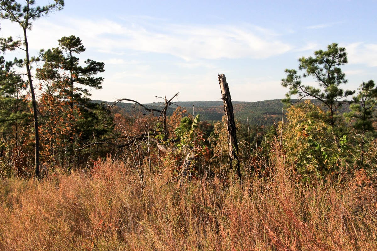 Stone Creek Phase III Tract 43 photo 18