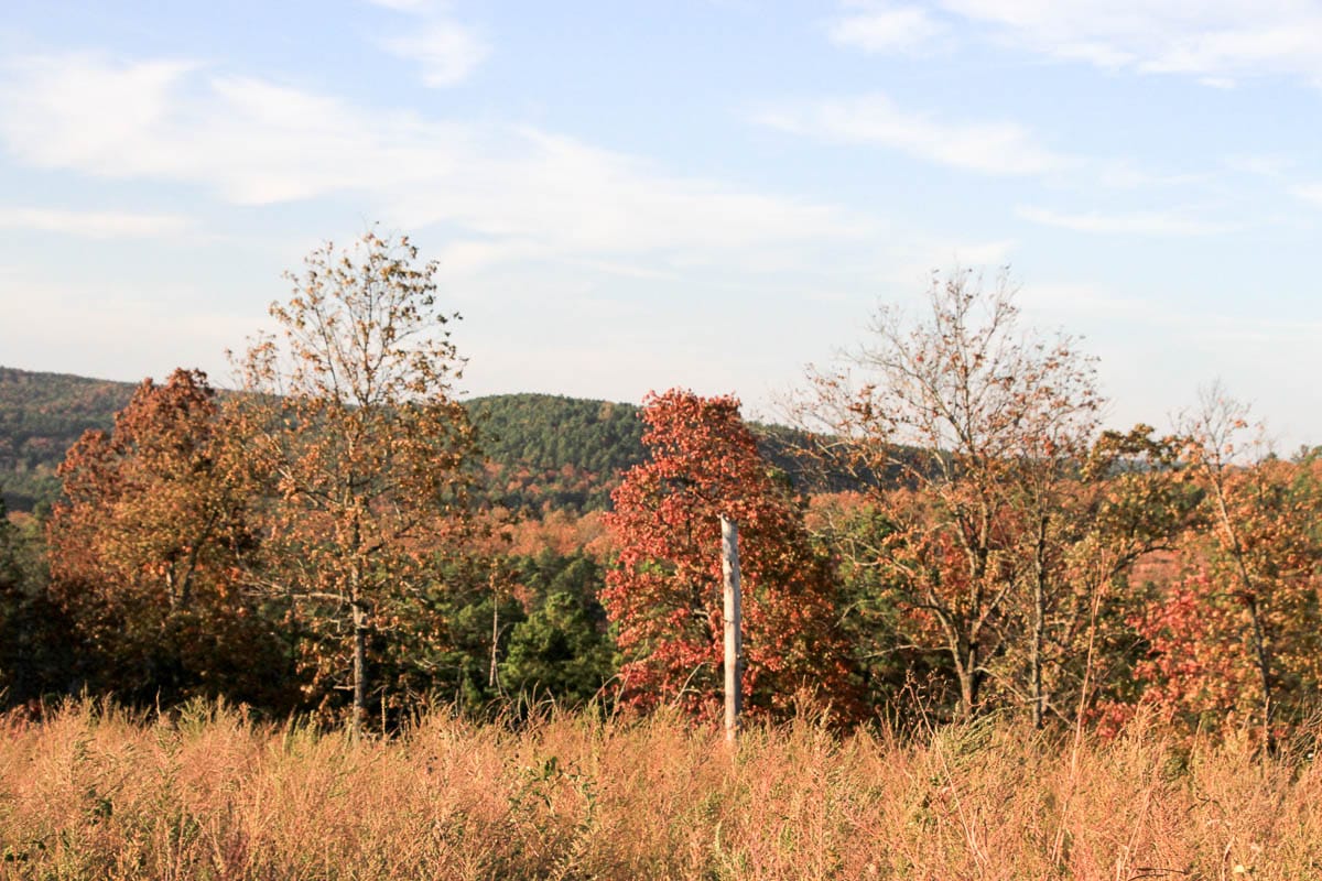 Stone Creek Phase III Tract 43 photo 19
