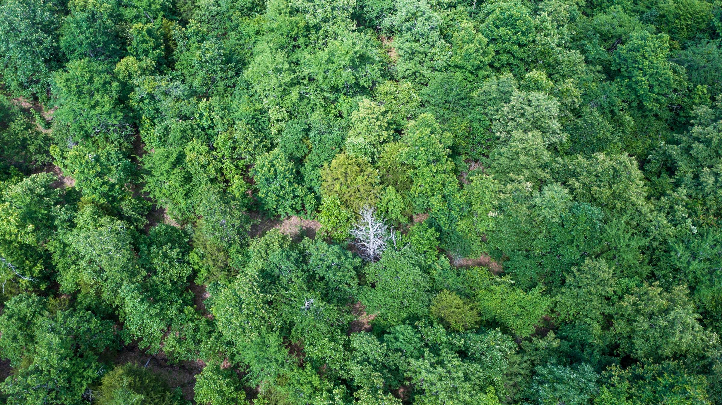 Falcon Crest Tract 27 photo 3