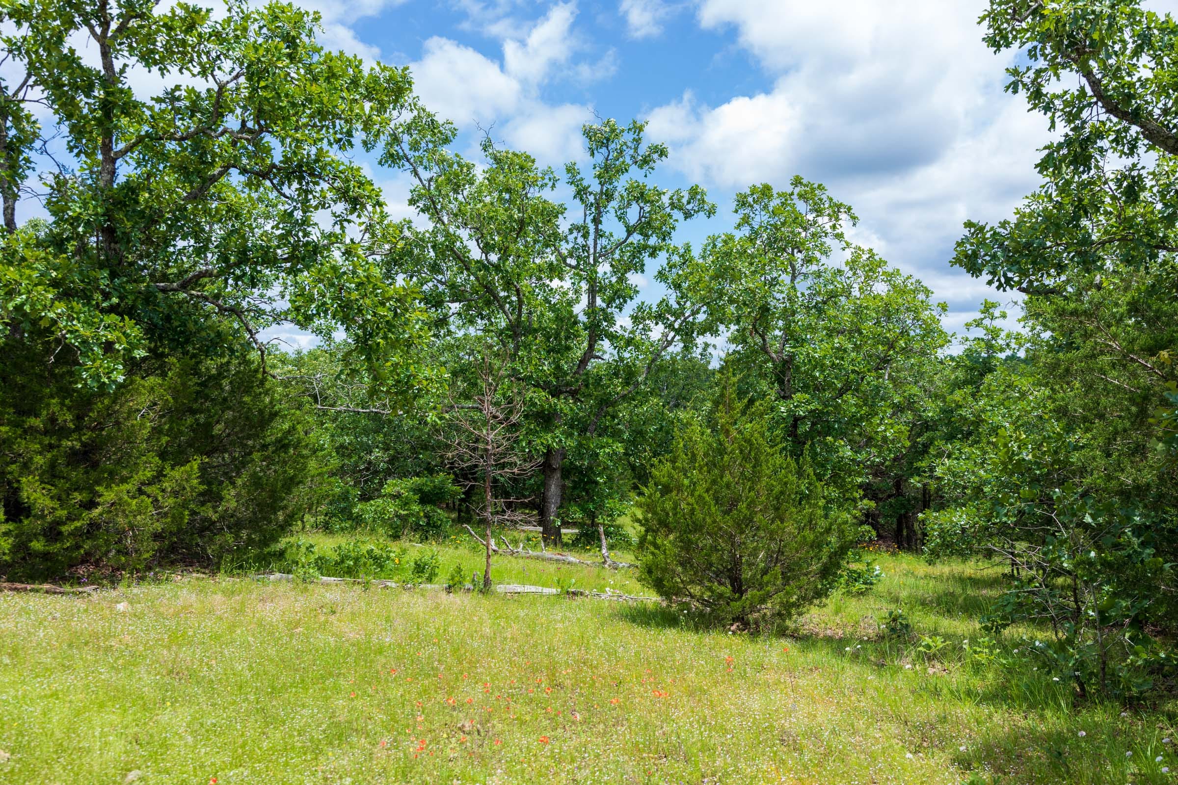 Falcon Crest Tract 27 photo 5