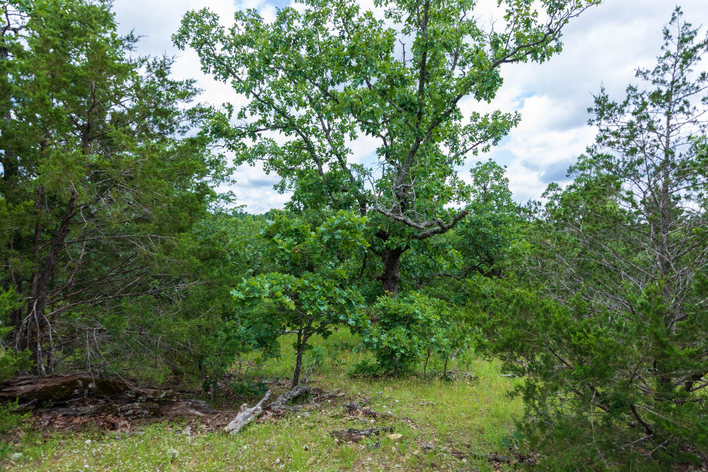 Falcon Crest Tract 27 photo 6