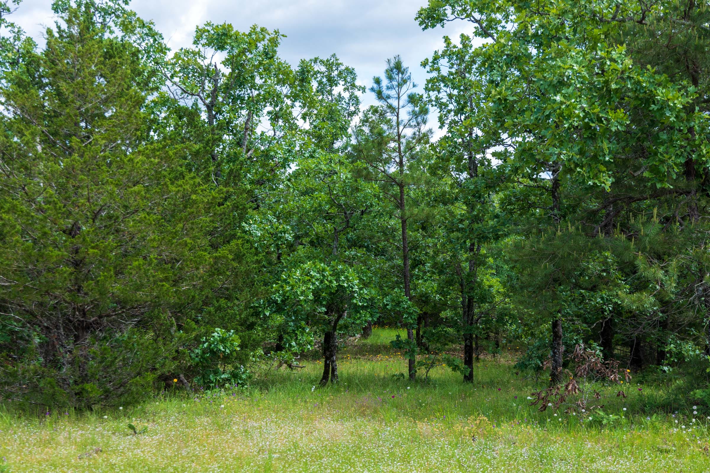Falcon Crest Tract 27 photo 8