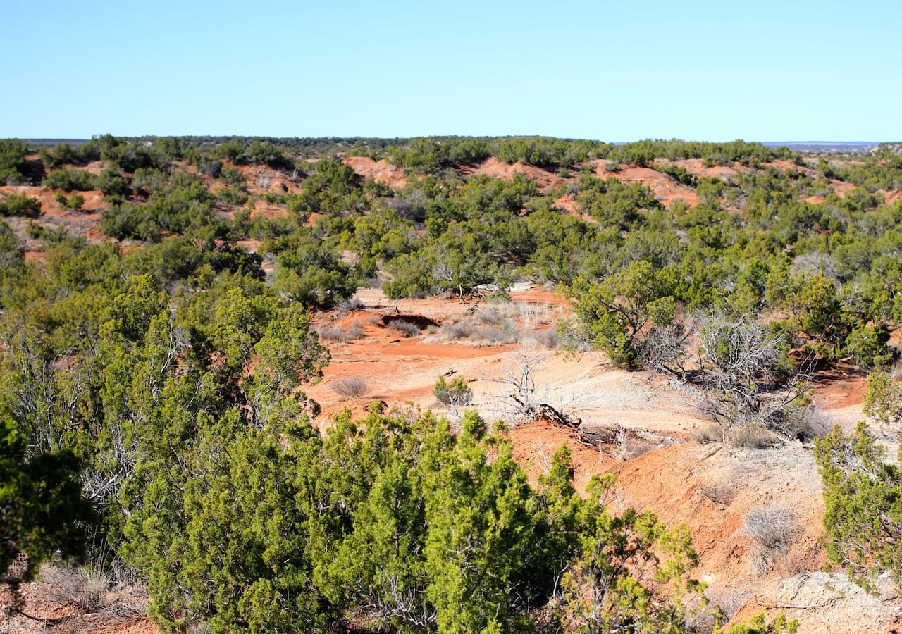 Red Rock Ranch Tract 21 photo 4