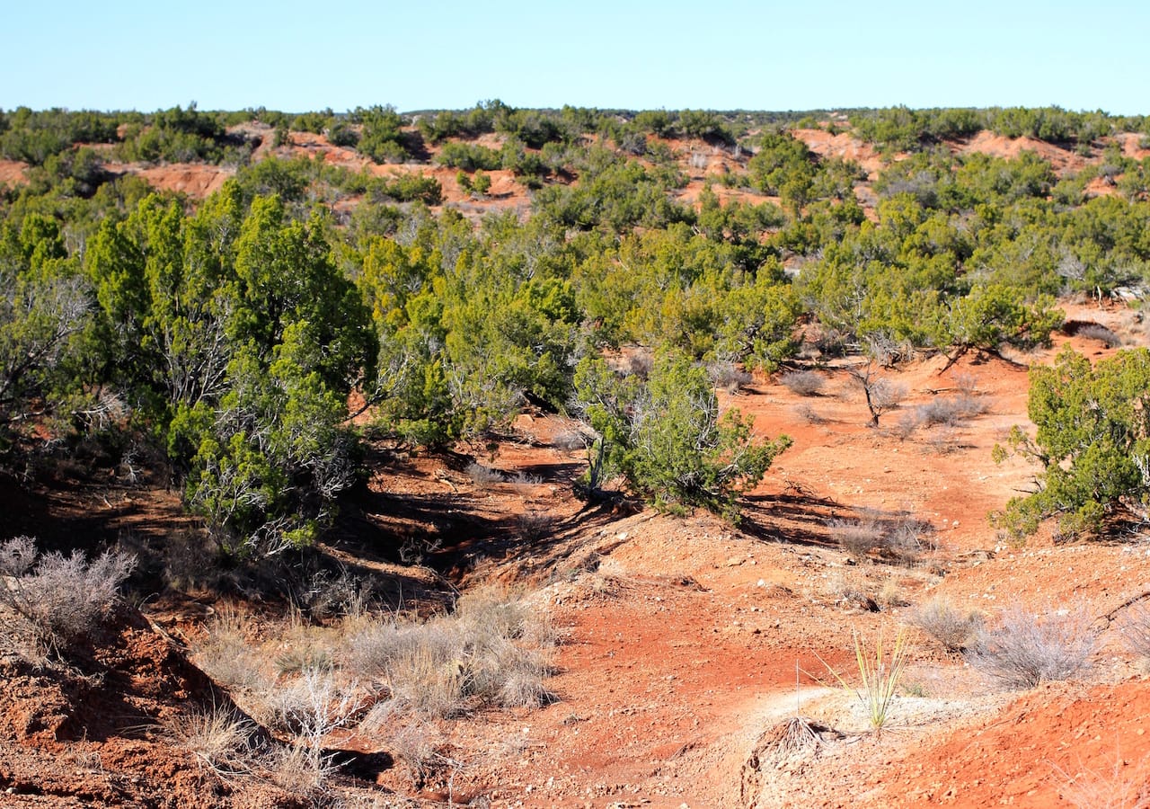 Red Rock Ranch Tract 21 photo 5