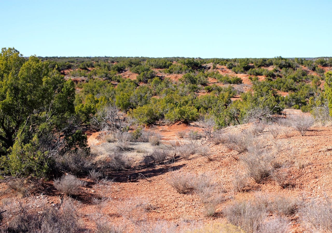 Red Rock Ranch Tract 21 photo 8