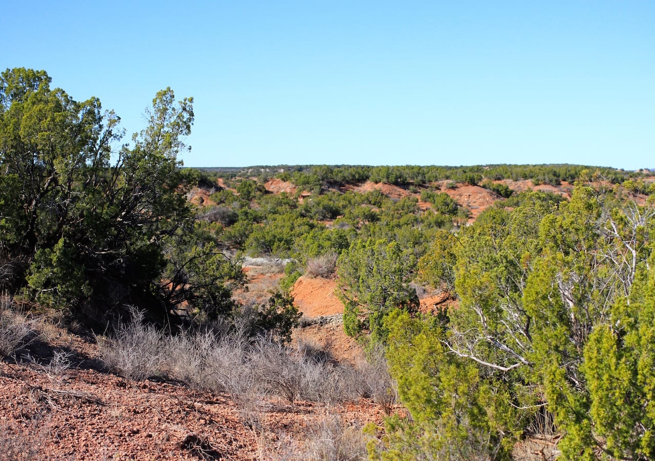 Red Rock Ranch Tract 21 photo 10