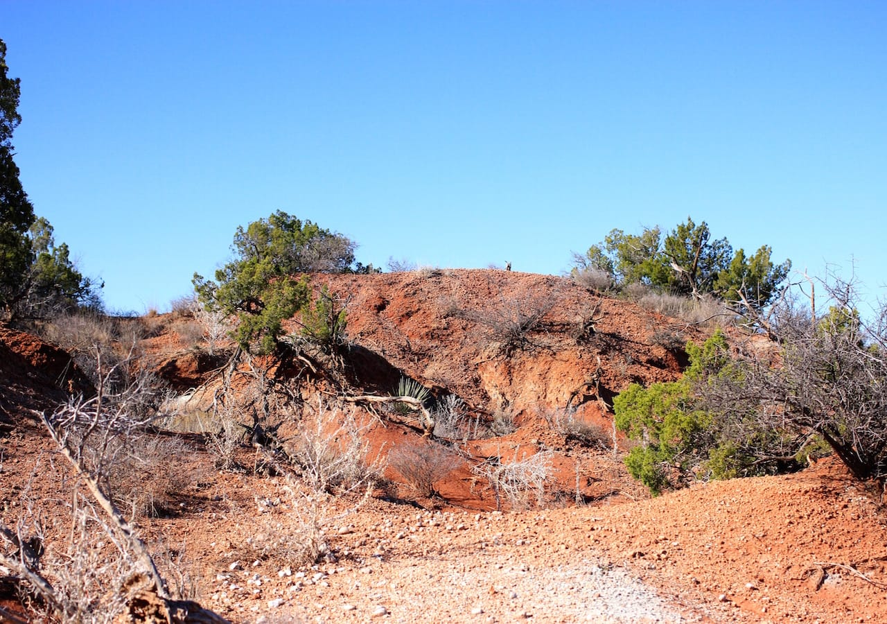 Red Rock Ranch Tract 21 photo 11