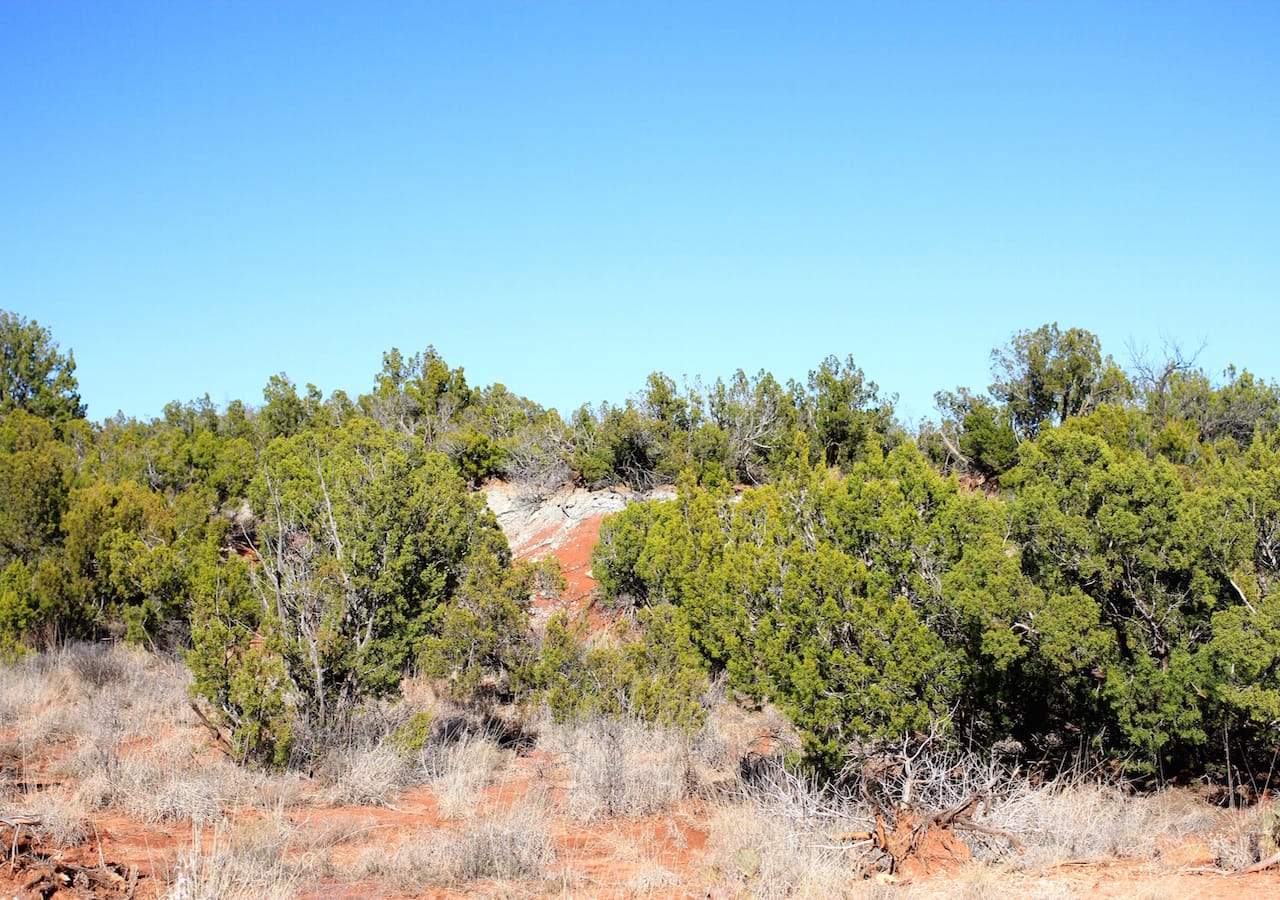 Red Rock Ranch Tract 21 photo 14