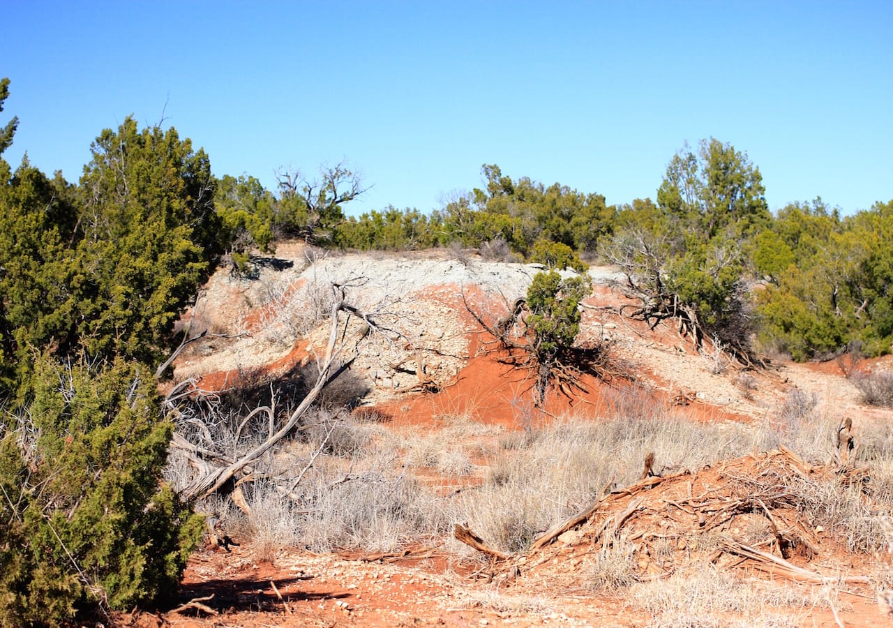 Red Rock Ranch Tract 21 photo 15