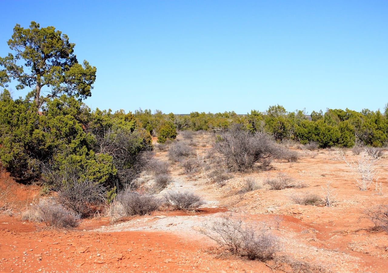 Red Rock Ranch Tract 21 photo 19