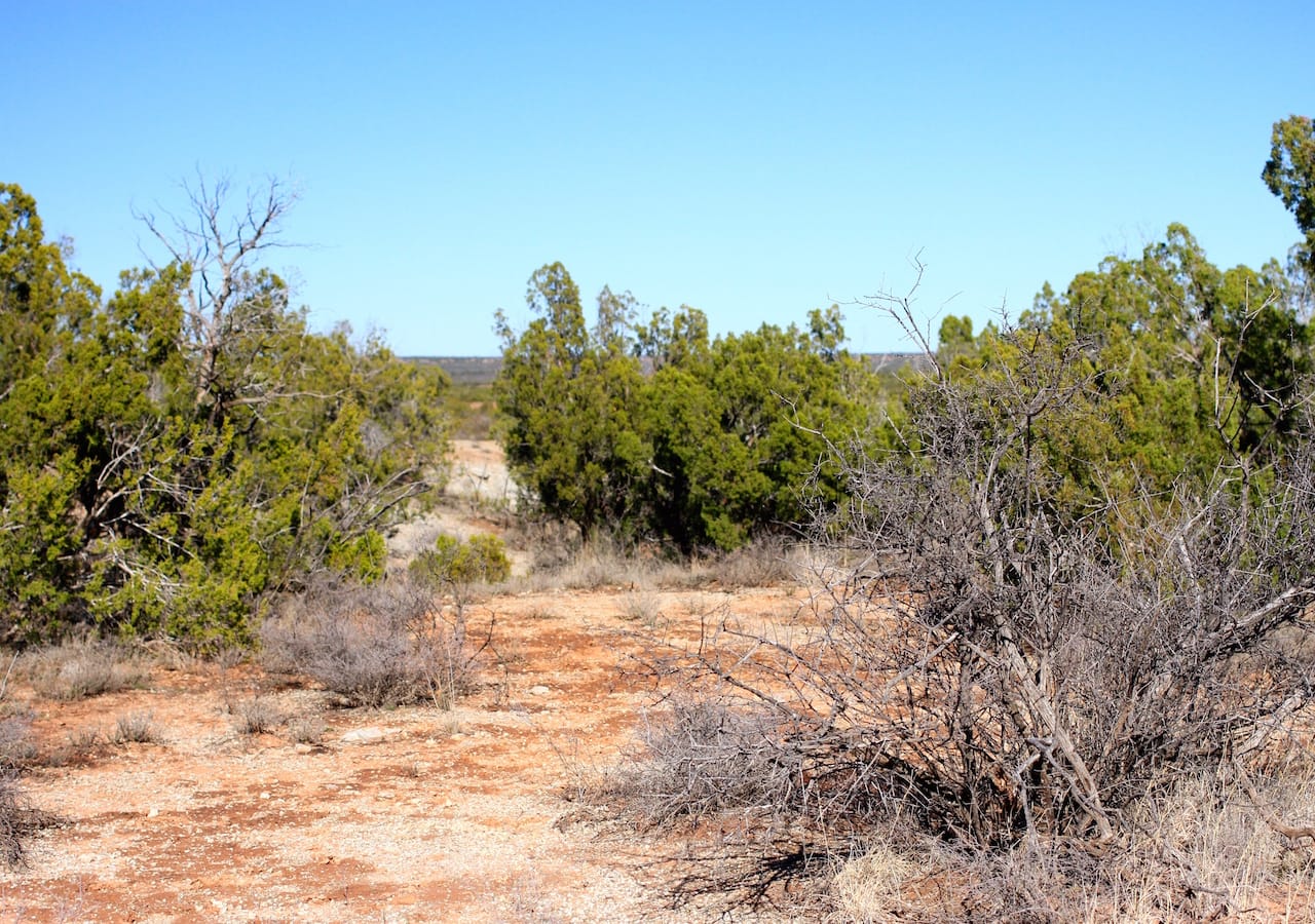 Red Rock Ranch Tract 21 photo 22