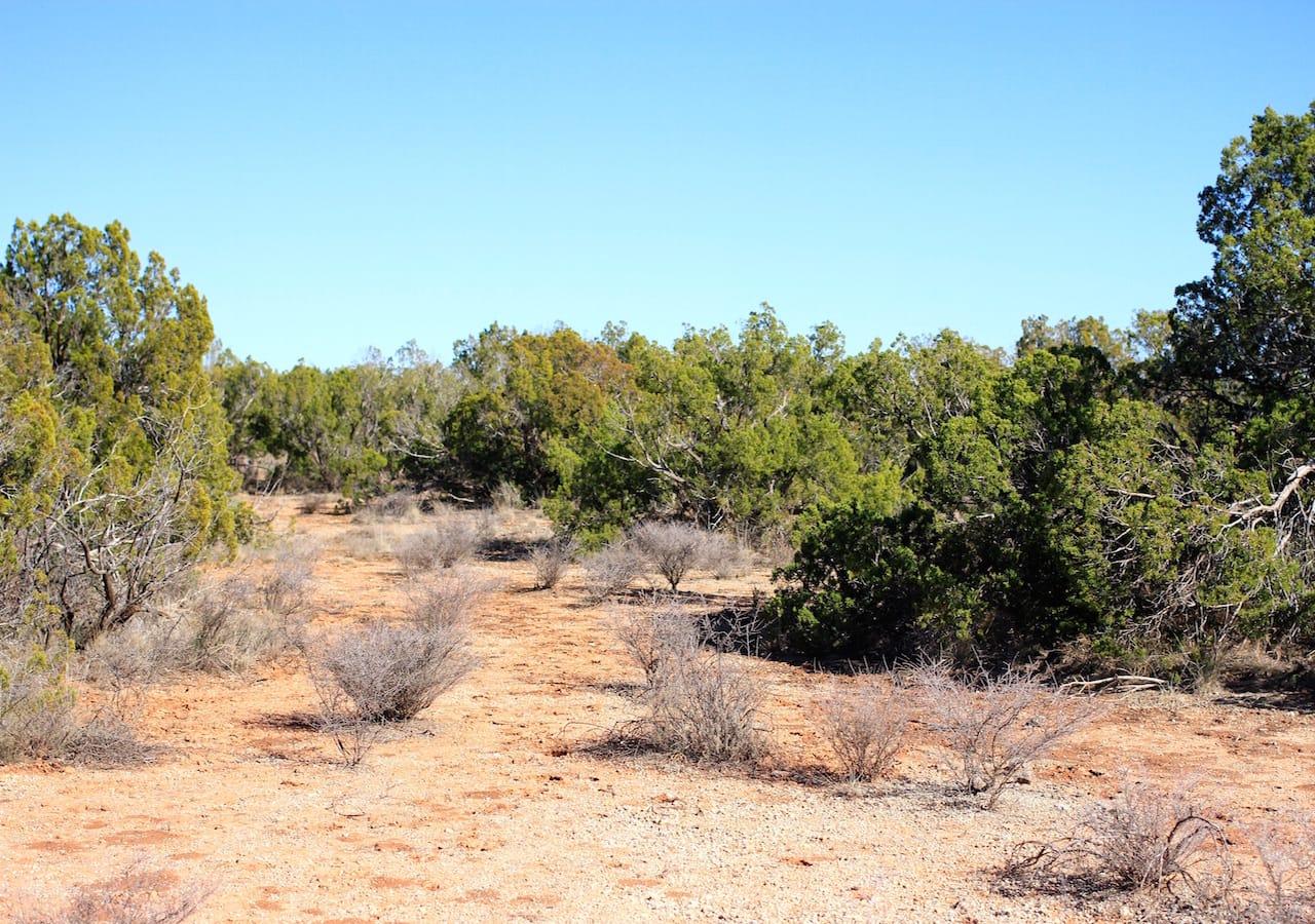 Red Rock Ranch Tract 21 photo 23