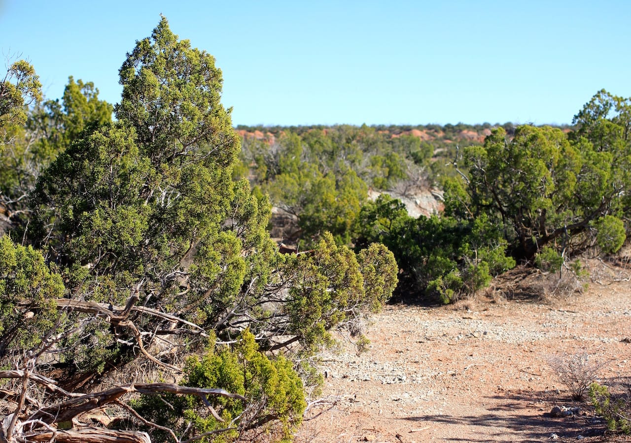 Red Rock Ranch Tract 21 photo 24