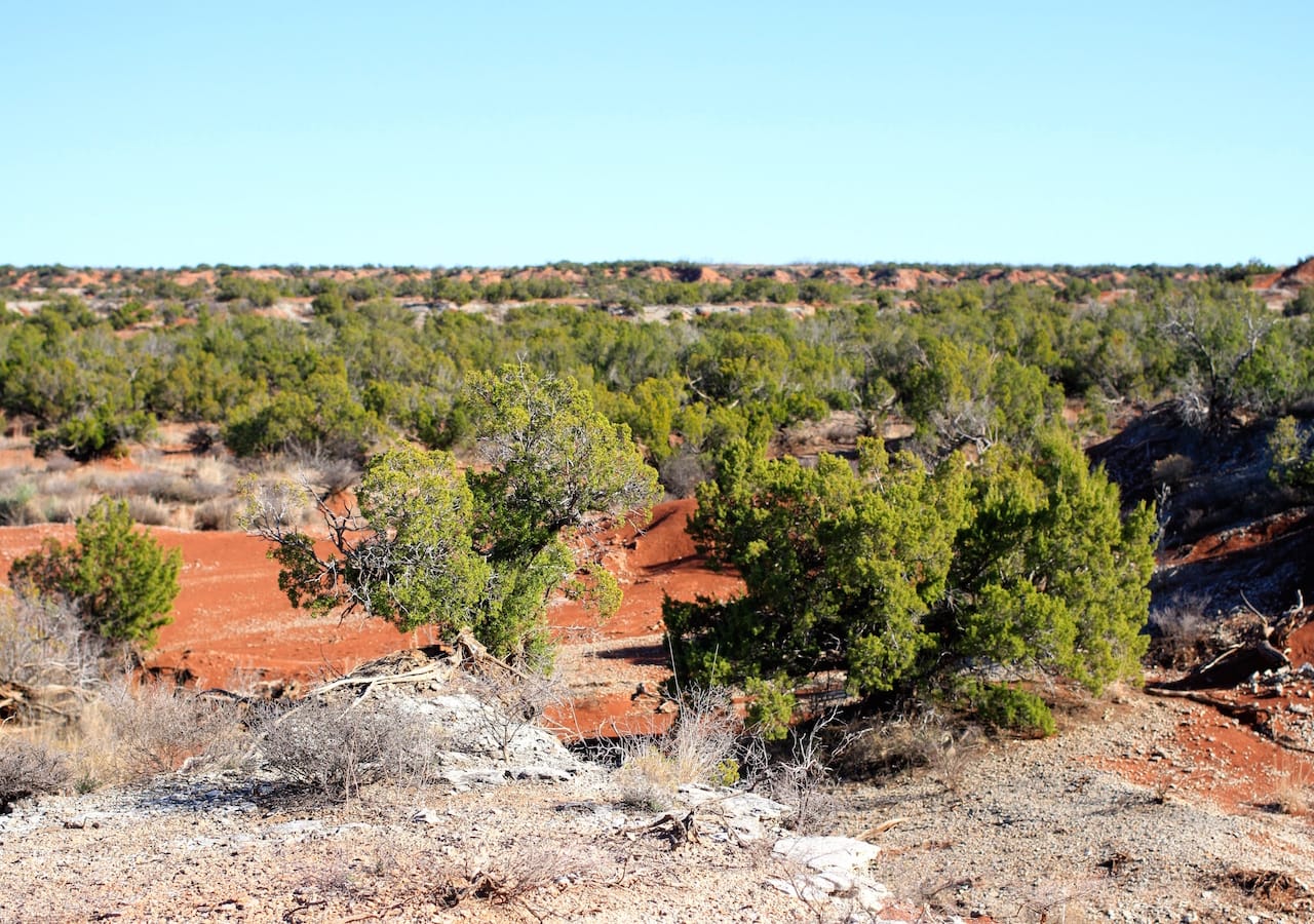 Red Rock Ranch Tract 21 photo 30