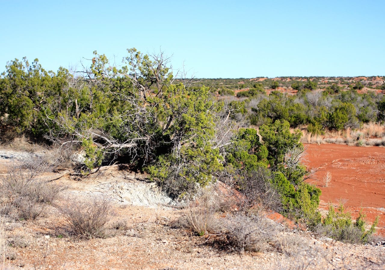 Red Rock Ranch Tract 21 photo 31