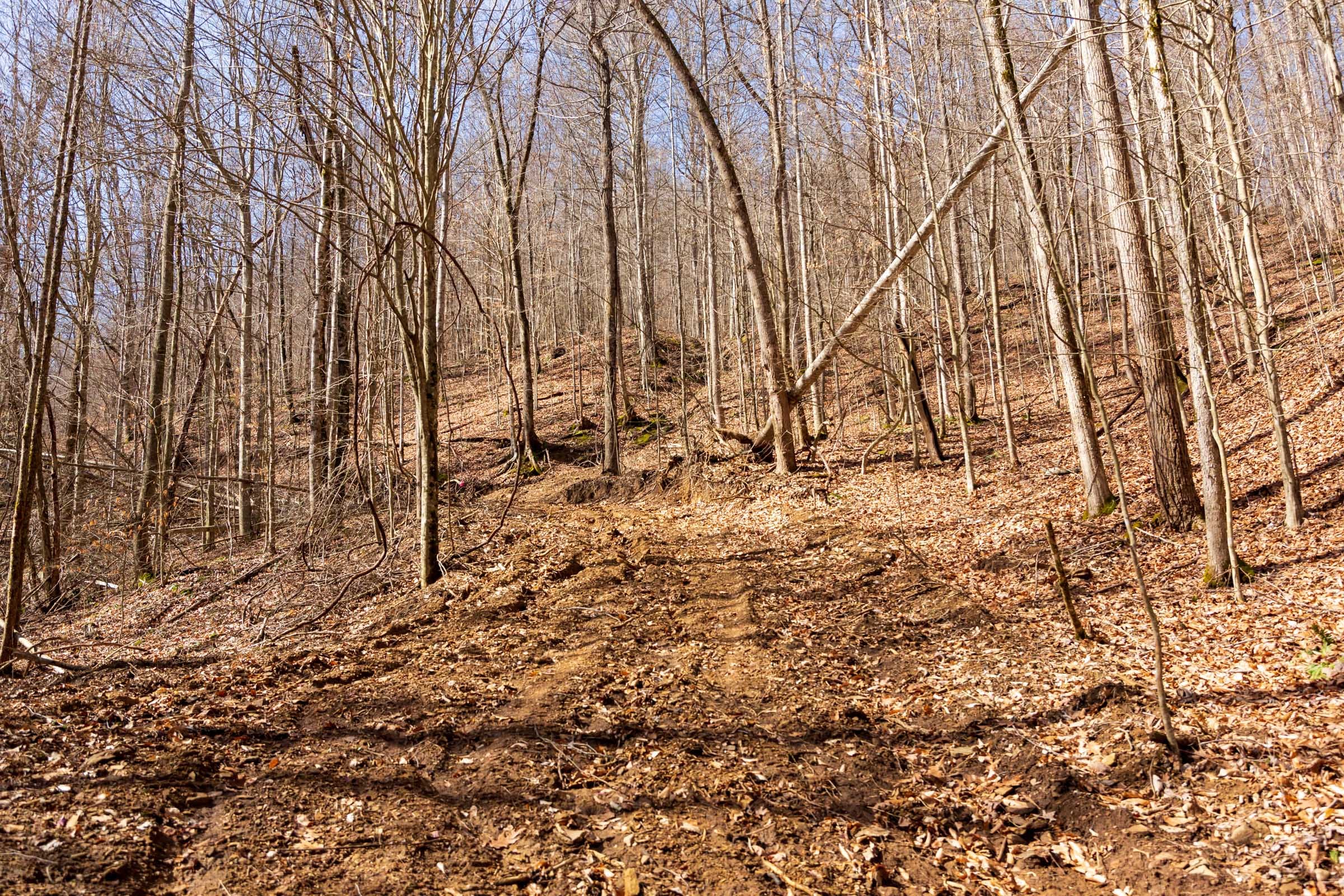 Blackstone Mountain Phase II Tract 82 photo 2
