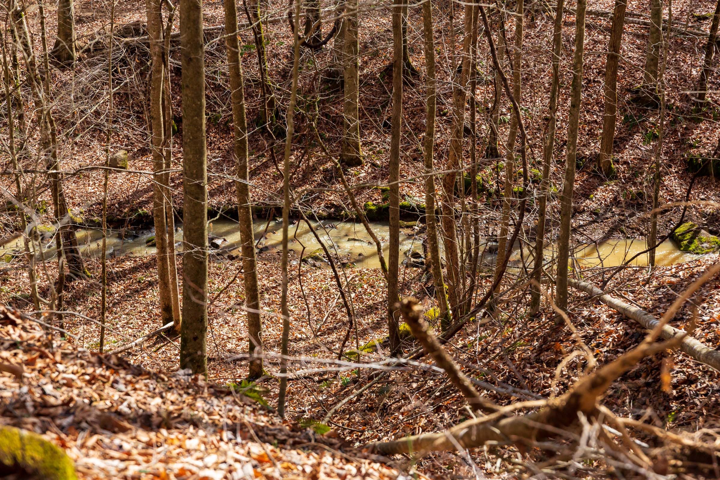 Blackstone Mountain Phase II Tract 82 photo 3