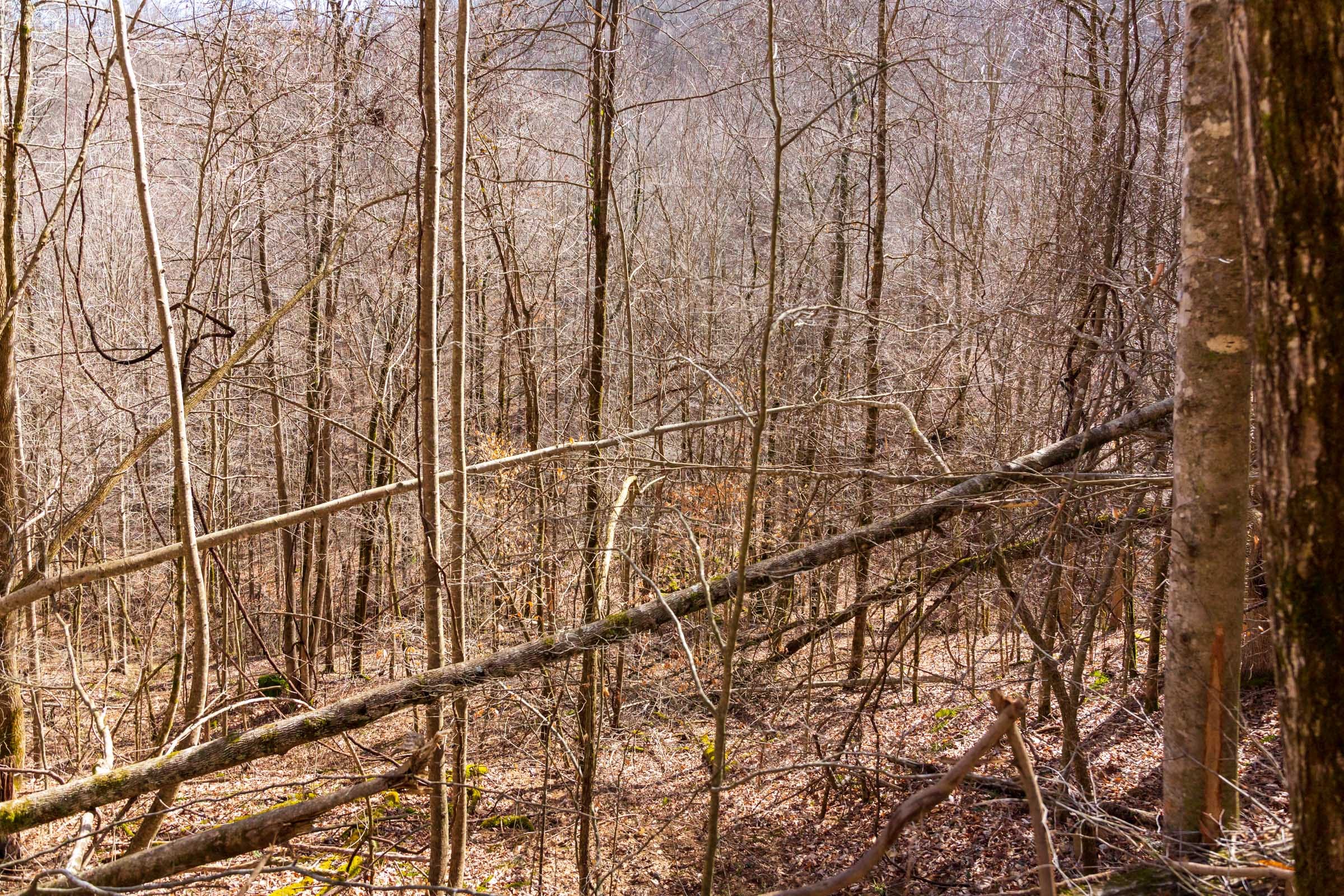 Blackstone Mountain Phase II Tract 82 photo 5