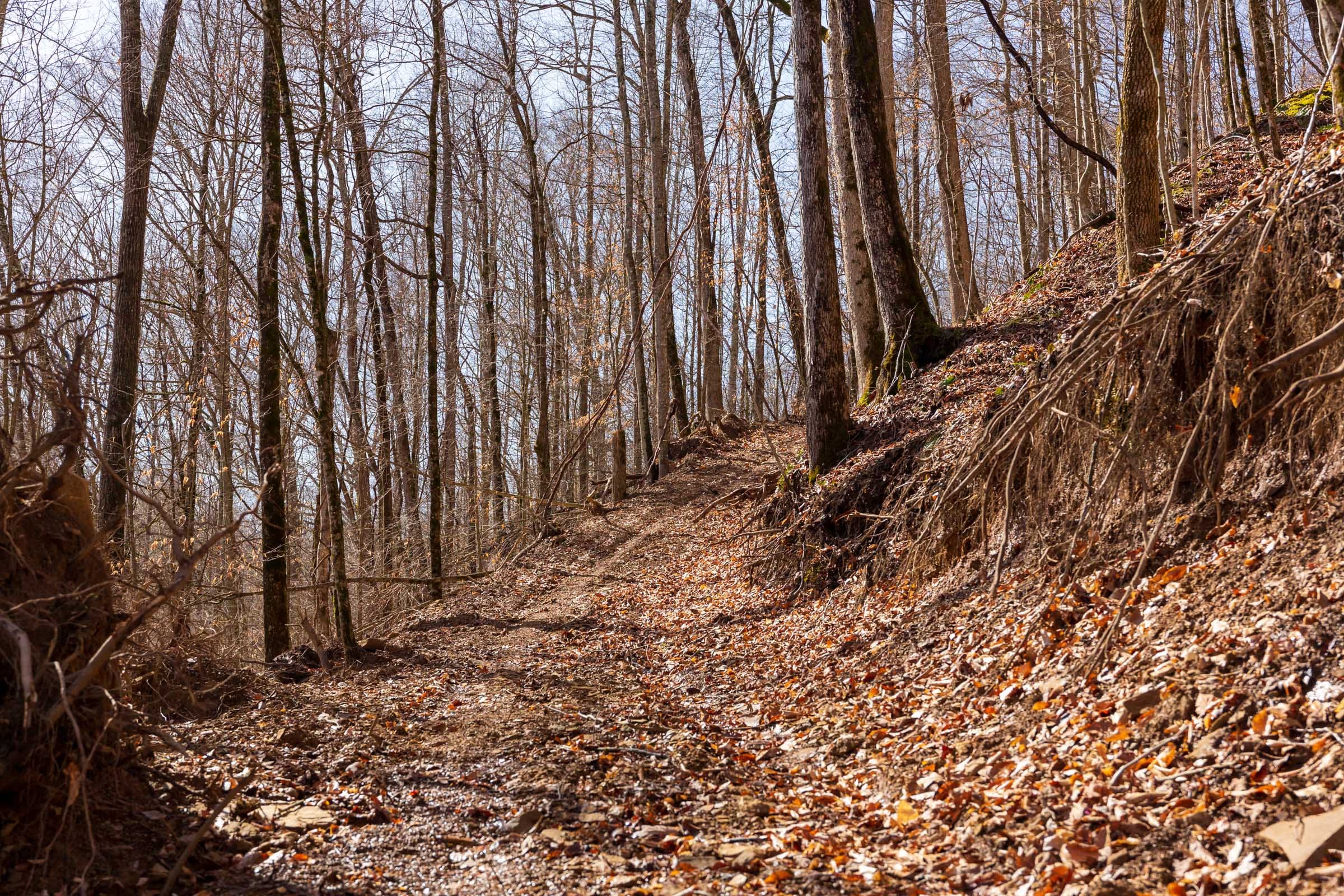 Blackstone Mountain Phase II Tract 82 photo 6