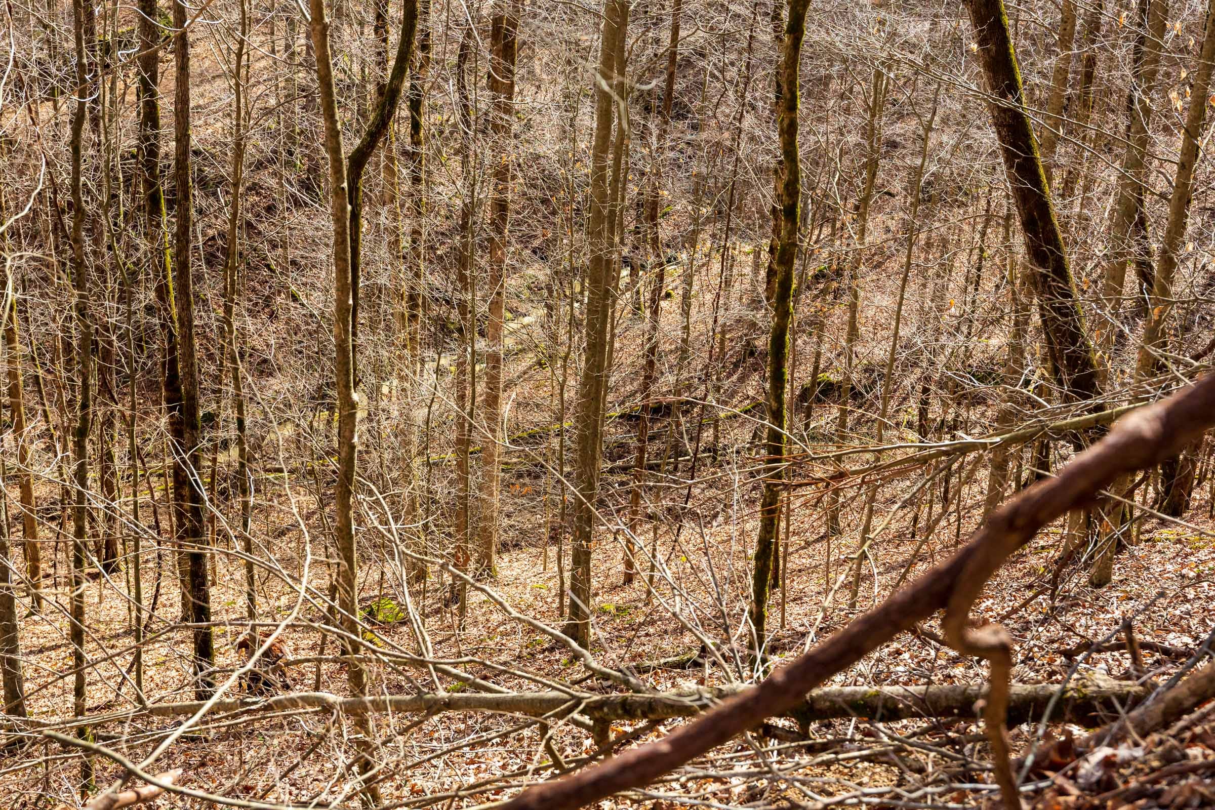 Blackstone Mountain Phase II Tract 82 photo 8