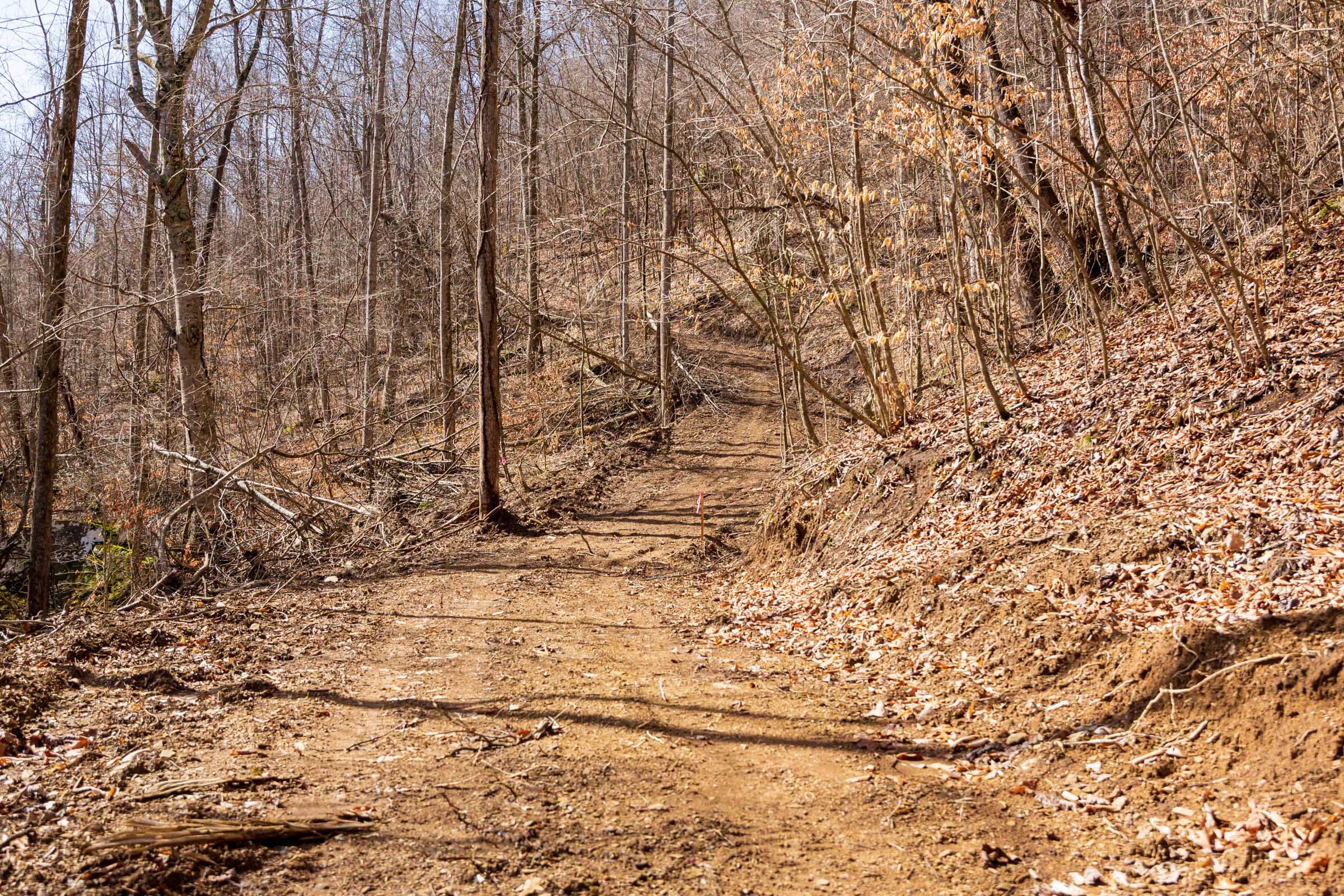 Blackstone Mountain Phase II Tract 82 photo 9