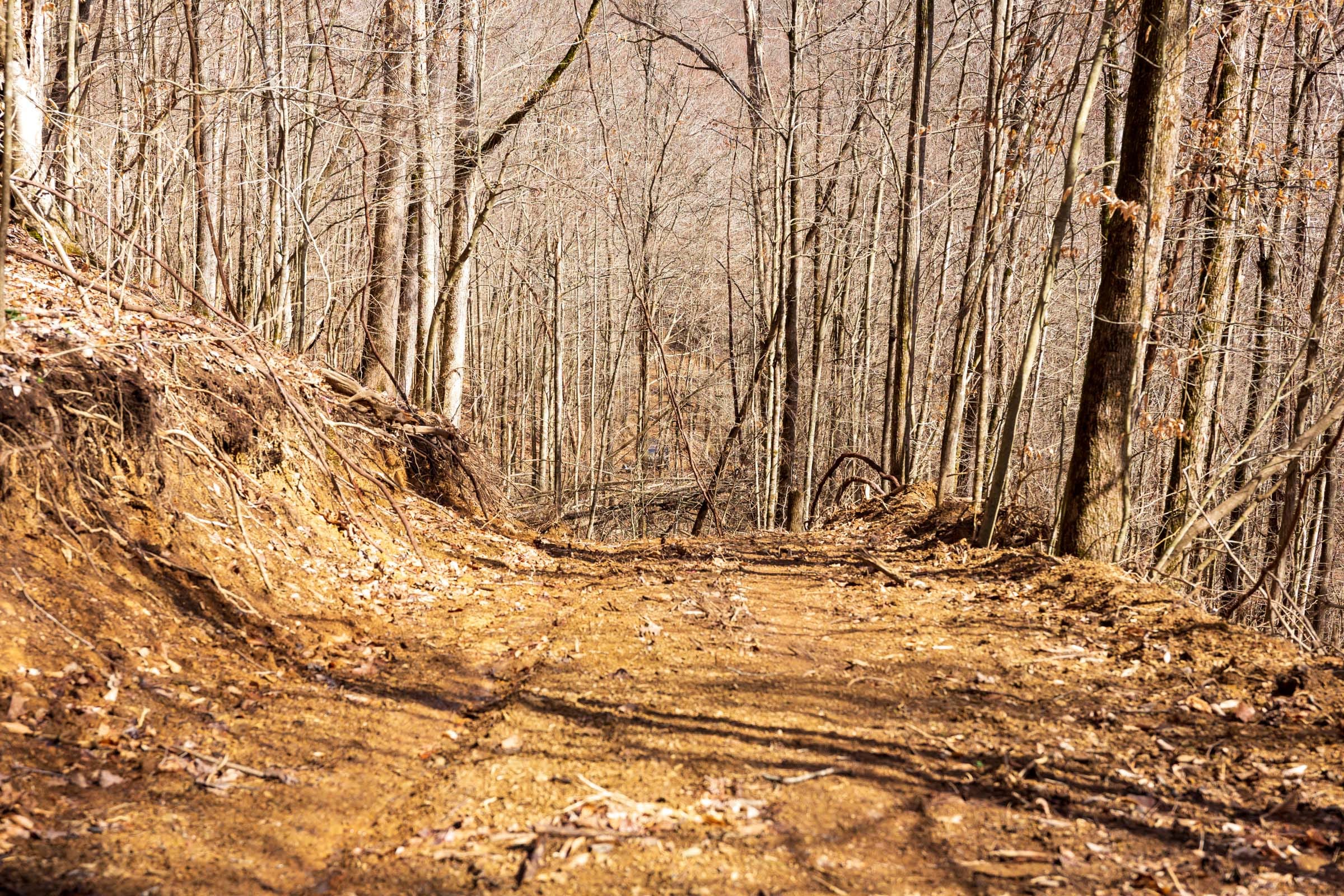 Blackstone Mountain Phase II Tract 82 photo 12
