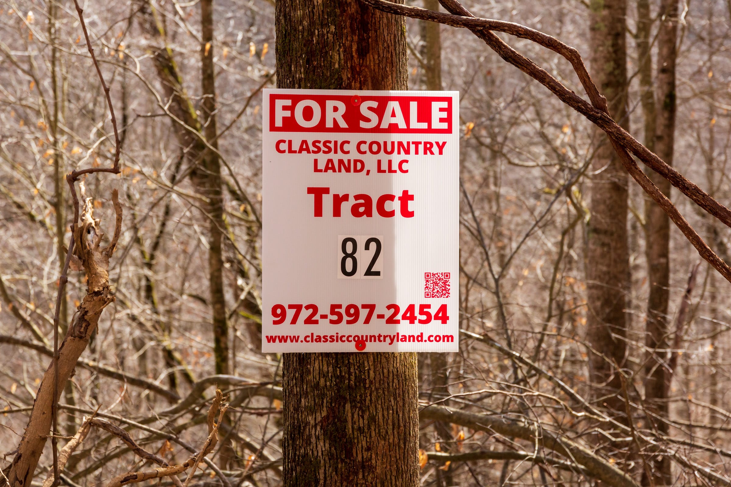 Blackstone Mountain Phase II Tract 82 photo 1